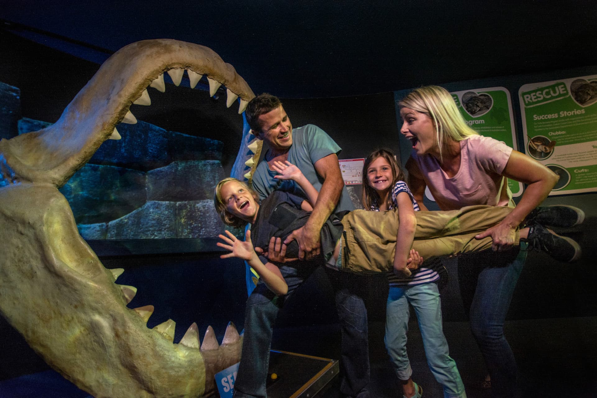 SEA LIFE Sunshine Coast Aquarium Direct Entry Ticket - تصویر 6