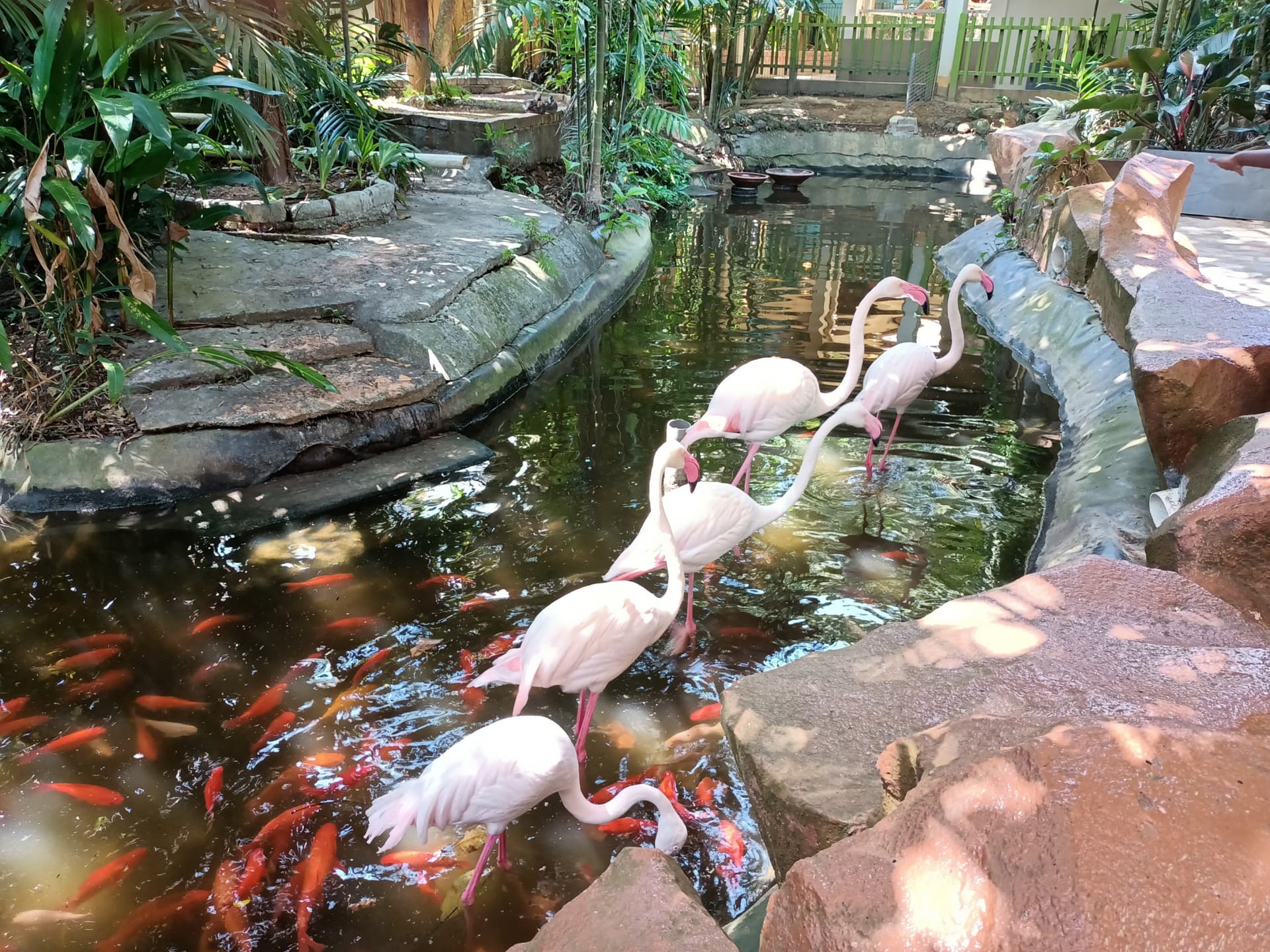 Langkawi Wildlife Park - تصویر 9