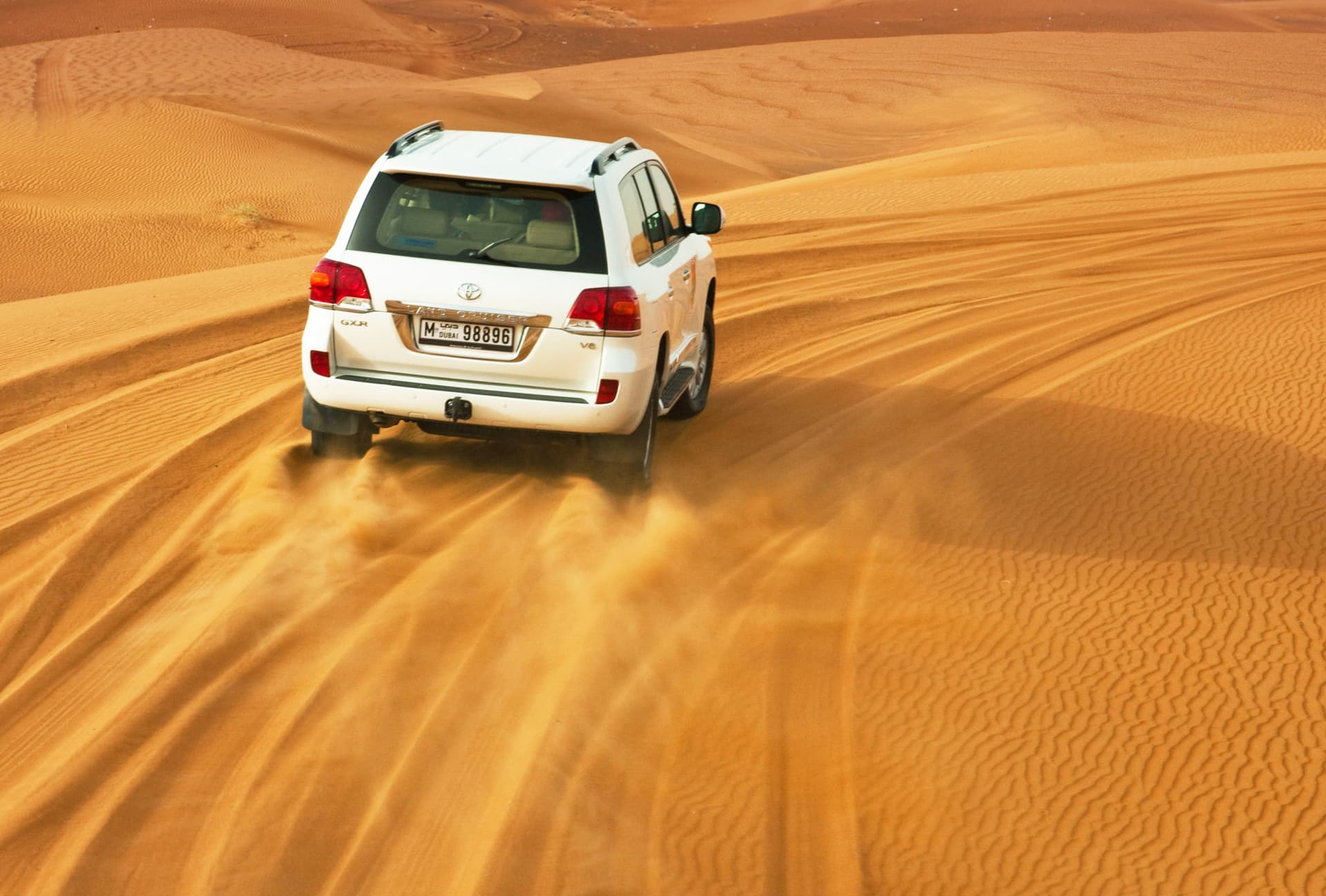 Liwa Desert Safari Tour - تصویر 6
