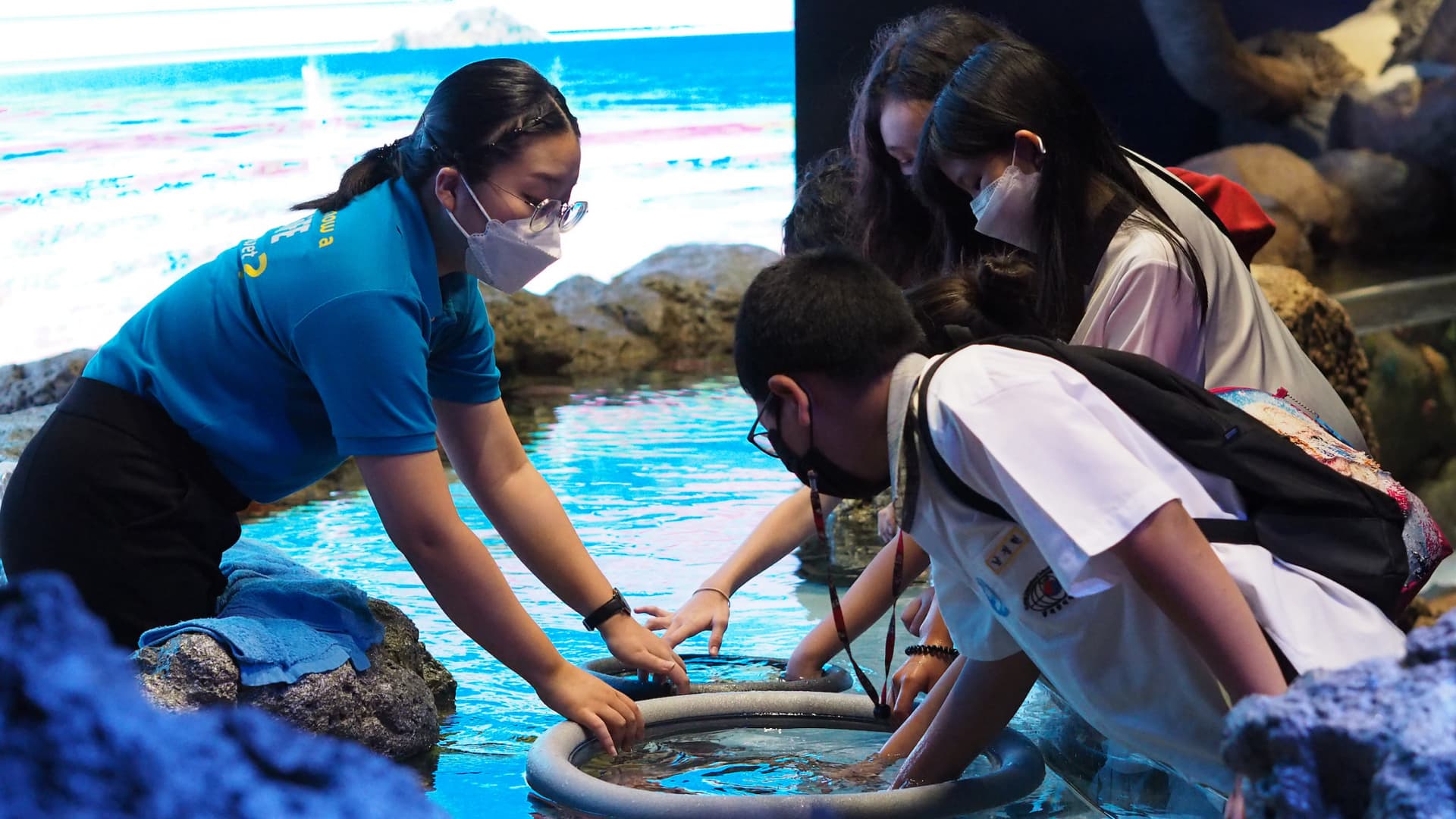 SEA LIFE Bangkok Ocean World Ticket - تصویر 8