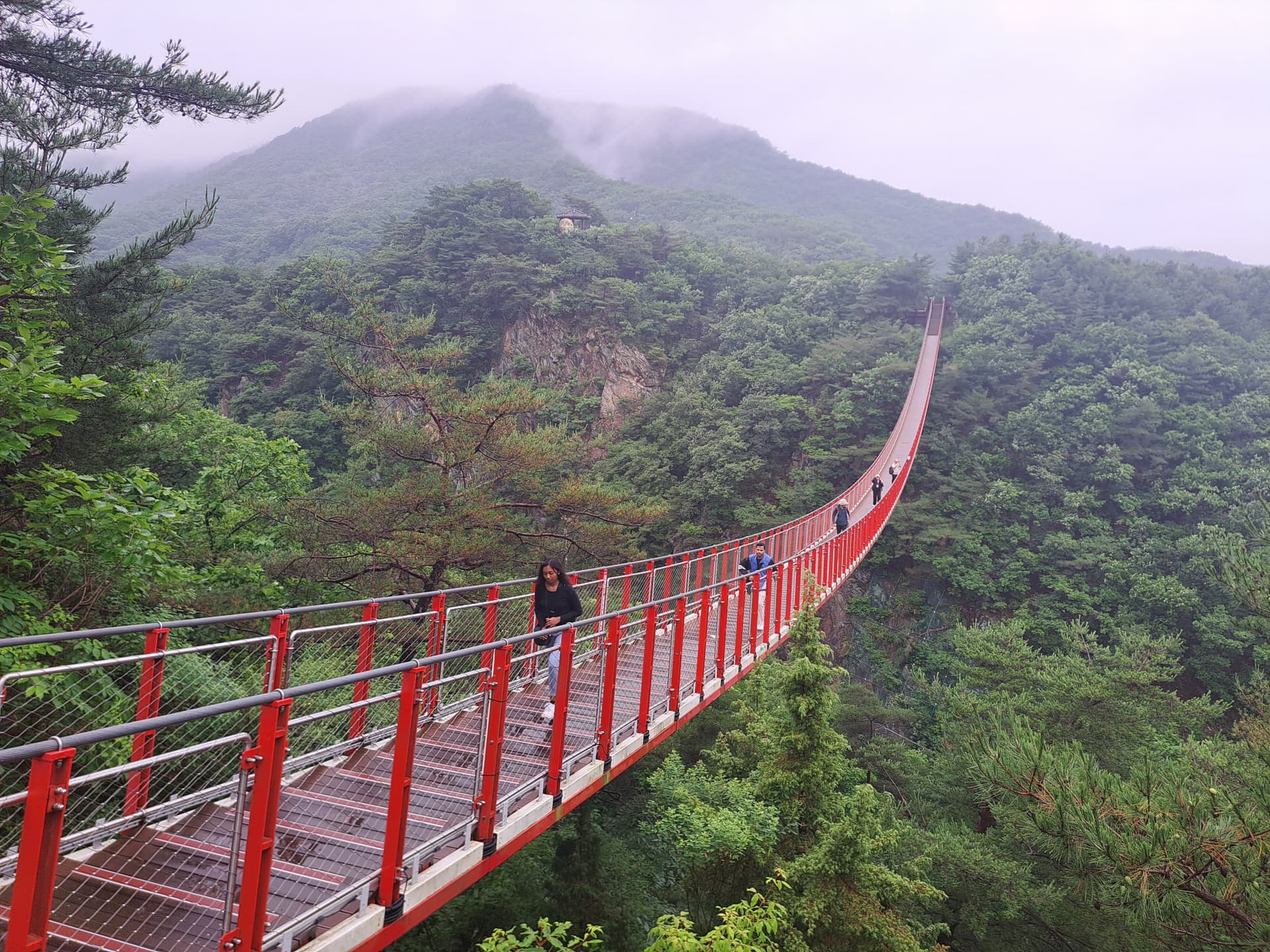 Korean Demilitarized Zone (DMZ) Tour from Seoul - تصویر 12
