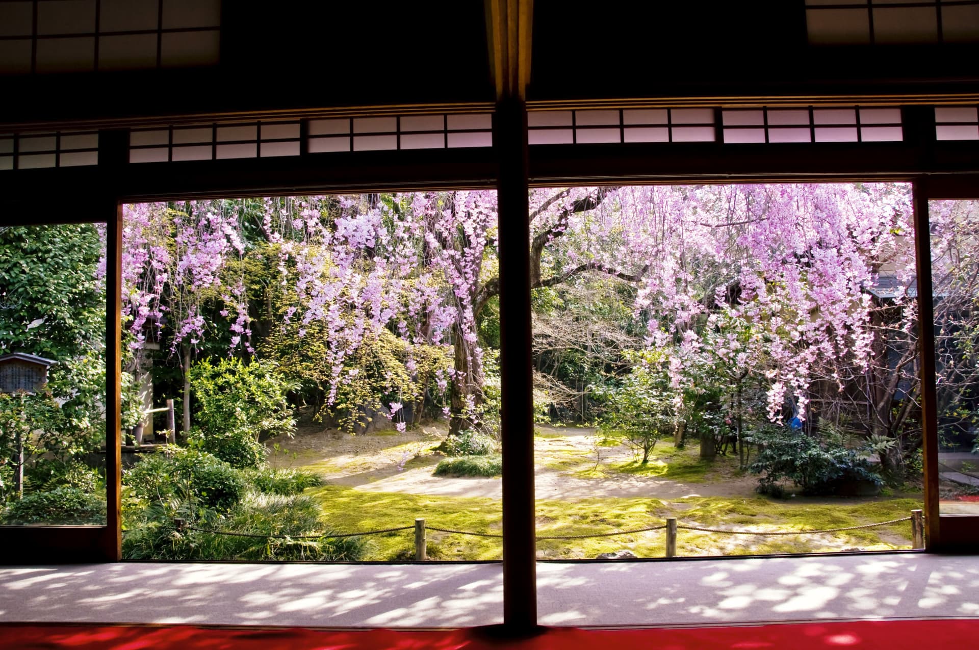 Myoshinji Temple Self-Guided Tour with Lunch - تصویر 5