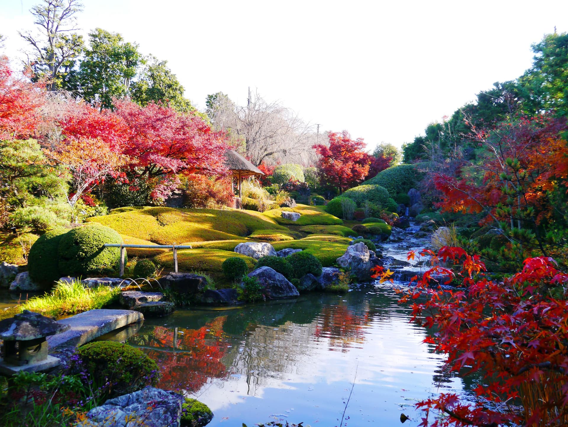 Myoshinji Temple Self-Guided Tour with Lunch - تصویر اصلی