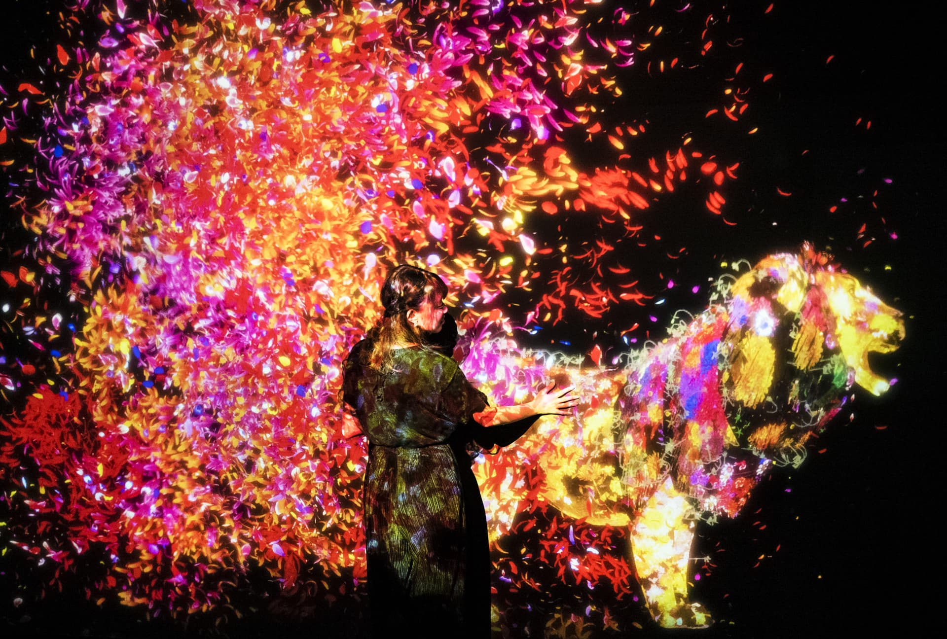 teamLab SuperNature Macao 3D Interactive Exhibition Ticket - تصویر 3