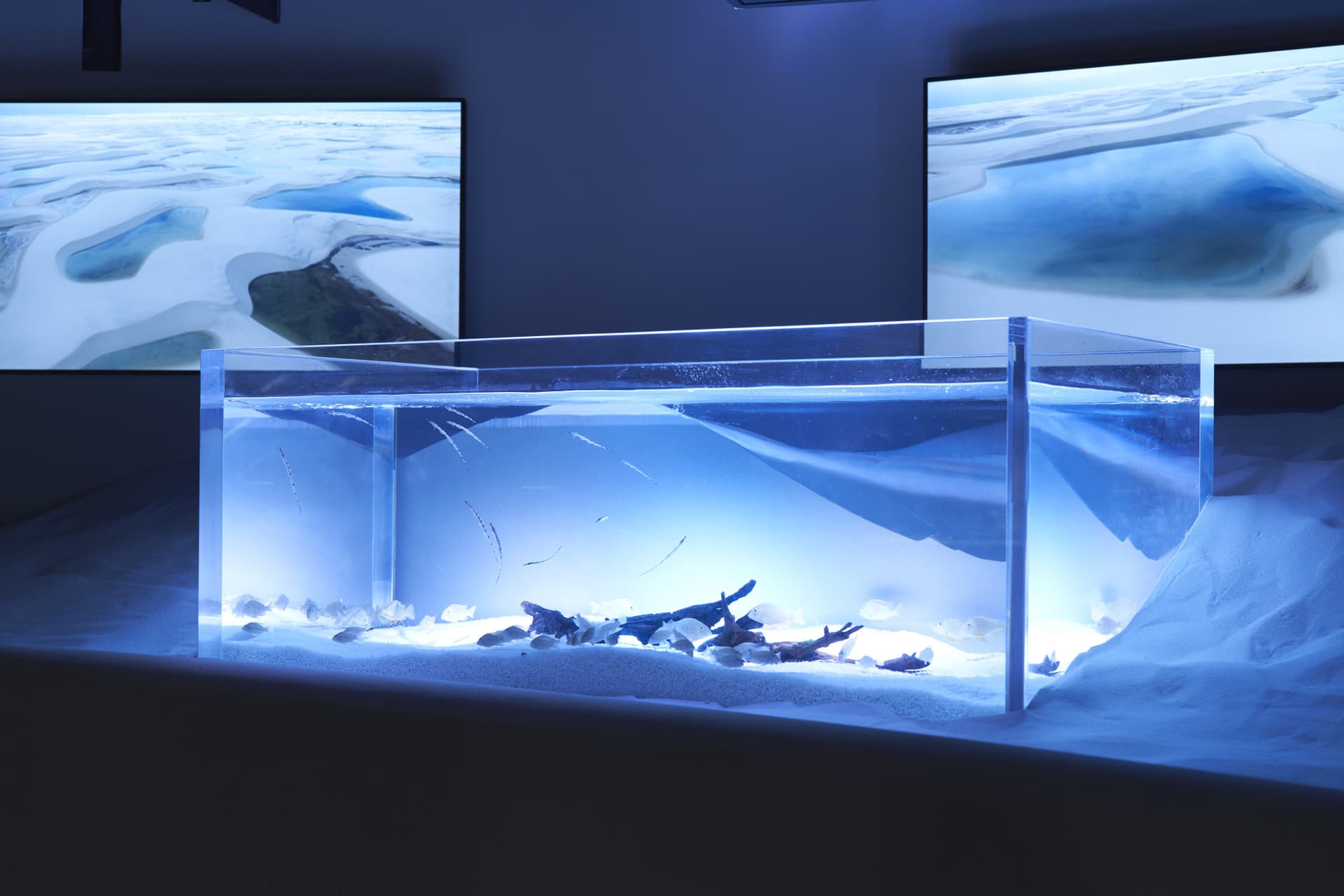 Kawasaki Aquarium Ticket - تصویر 9