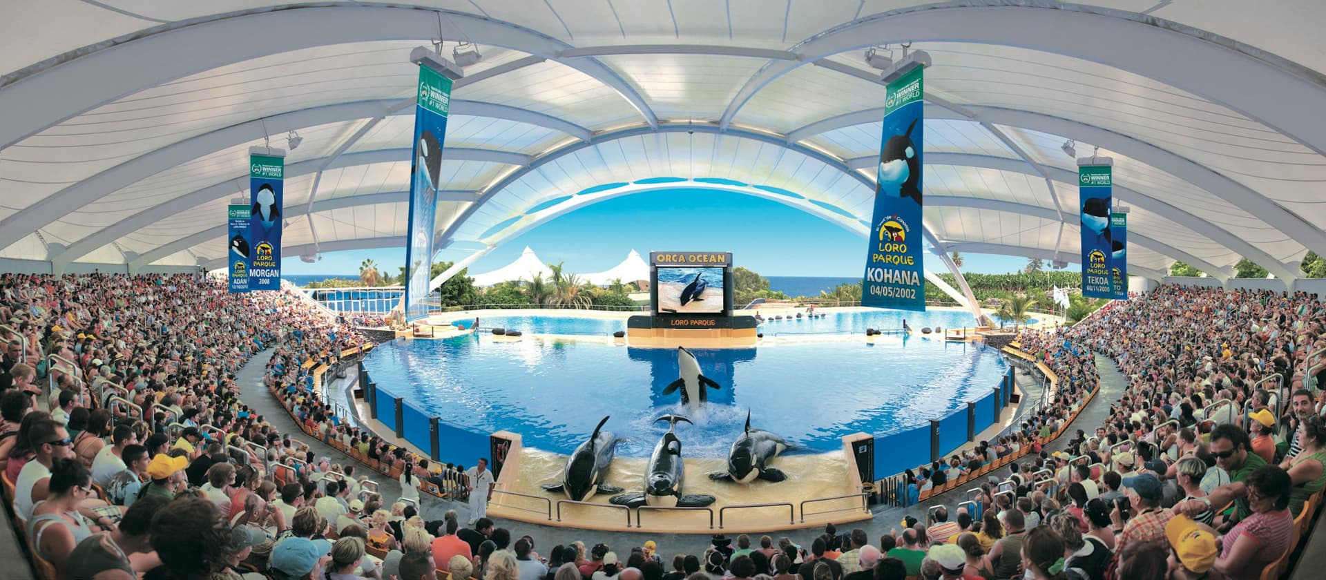 Loro Parque Ticket - تصویر 3
