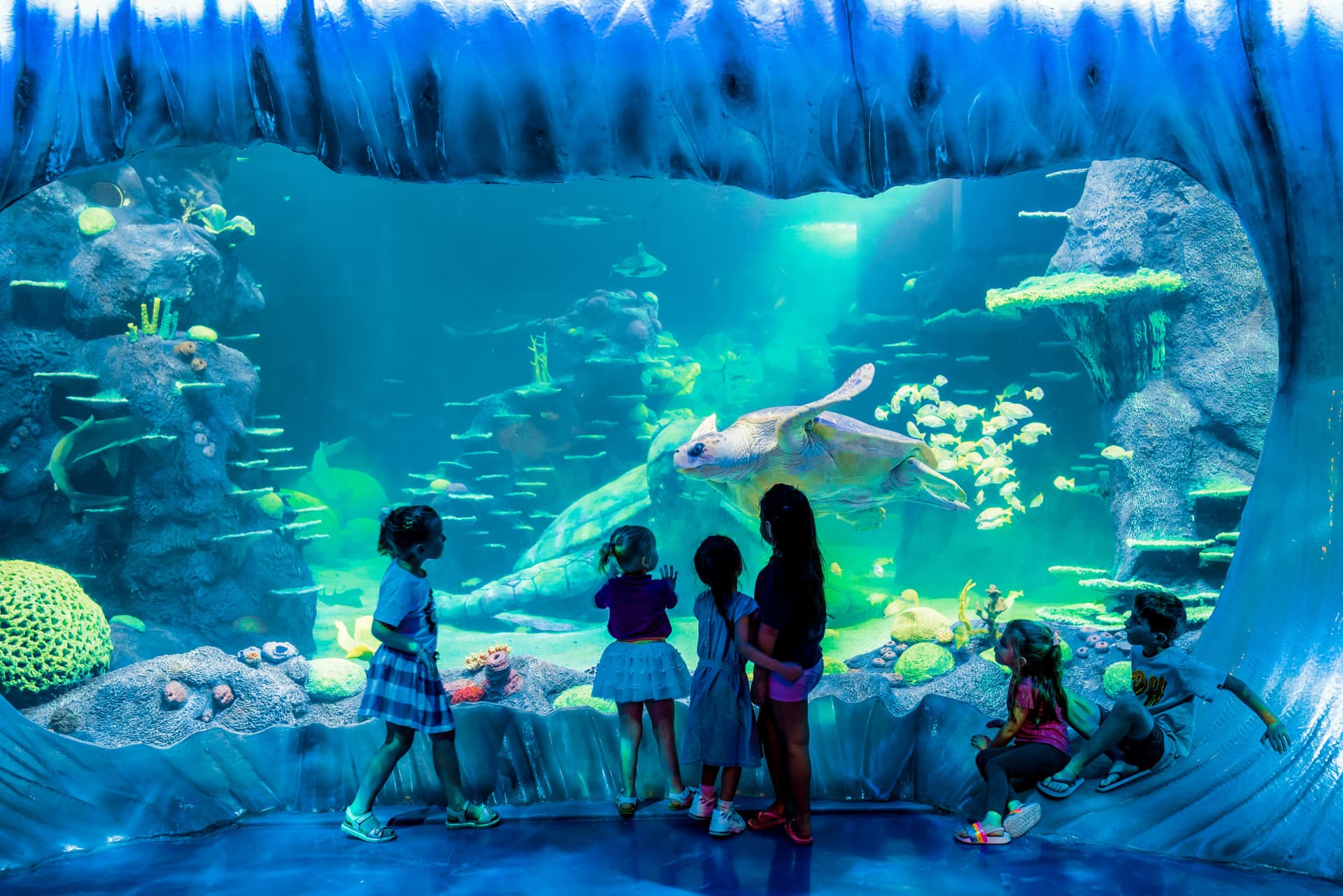 Go City Sydney Explorer Pass: Save up to 50% on Attractions - تصویر 30