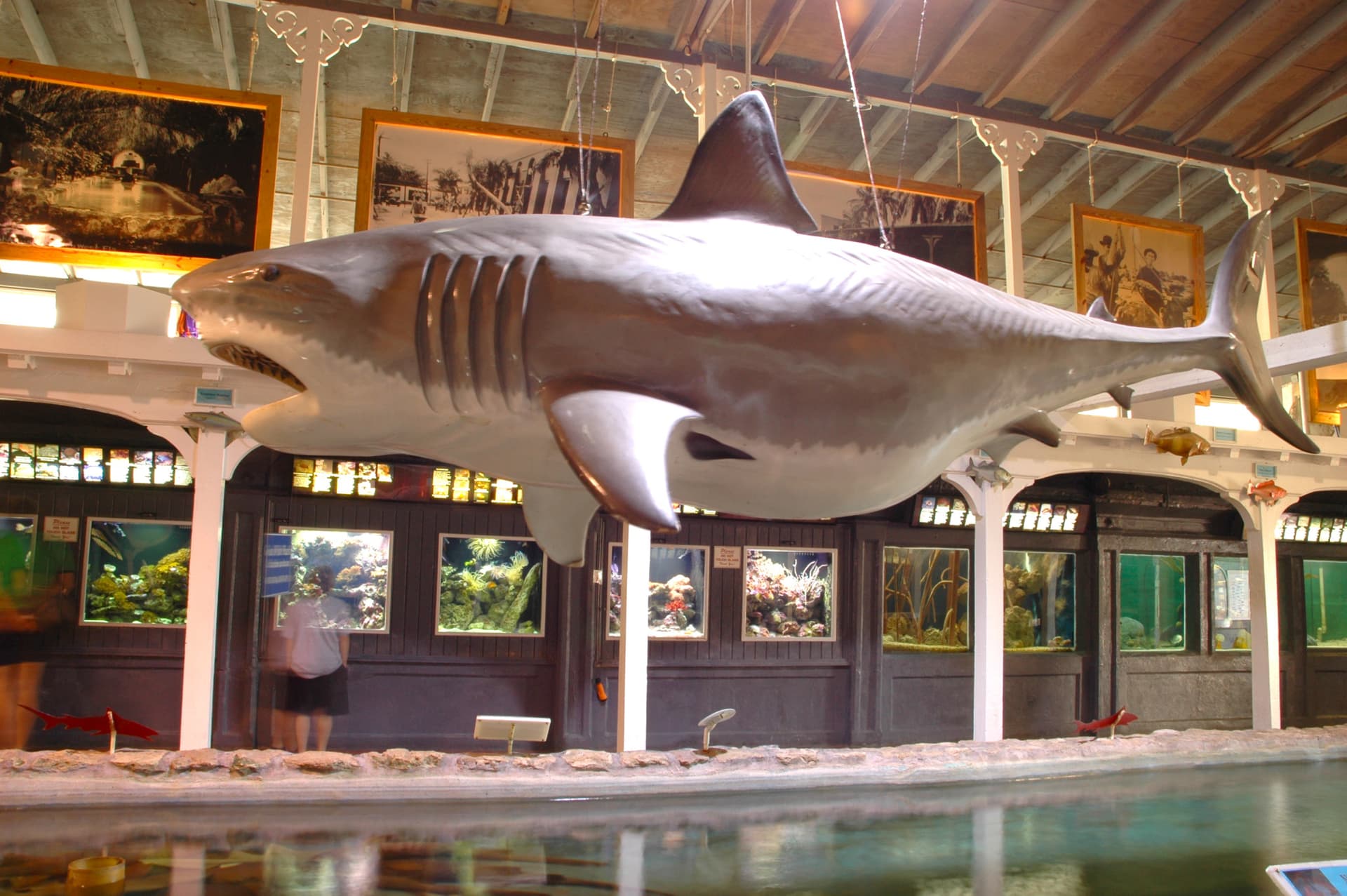 Go City Miami Explorer Pass: Save up to 50% on Attractions - تصویر 21