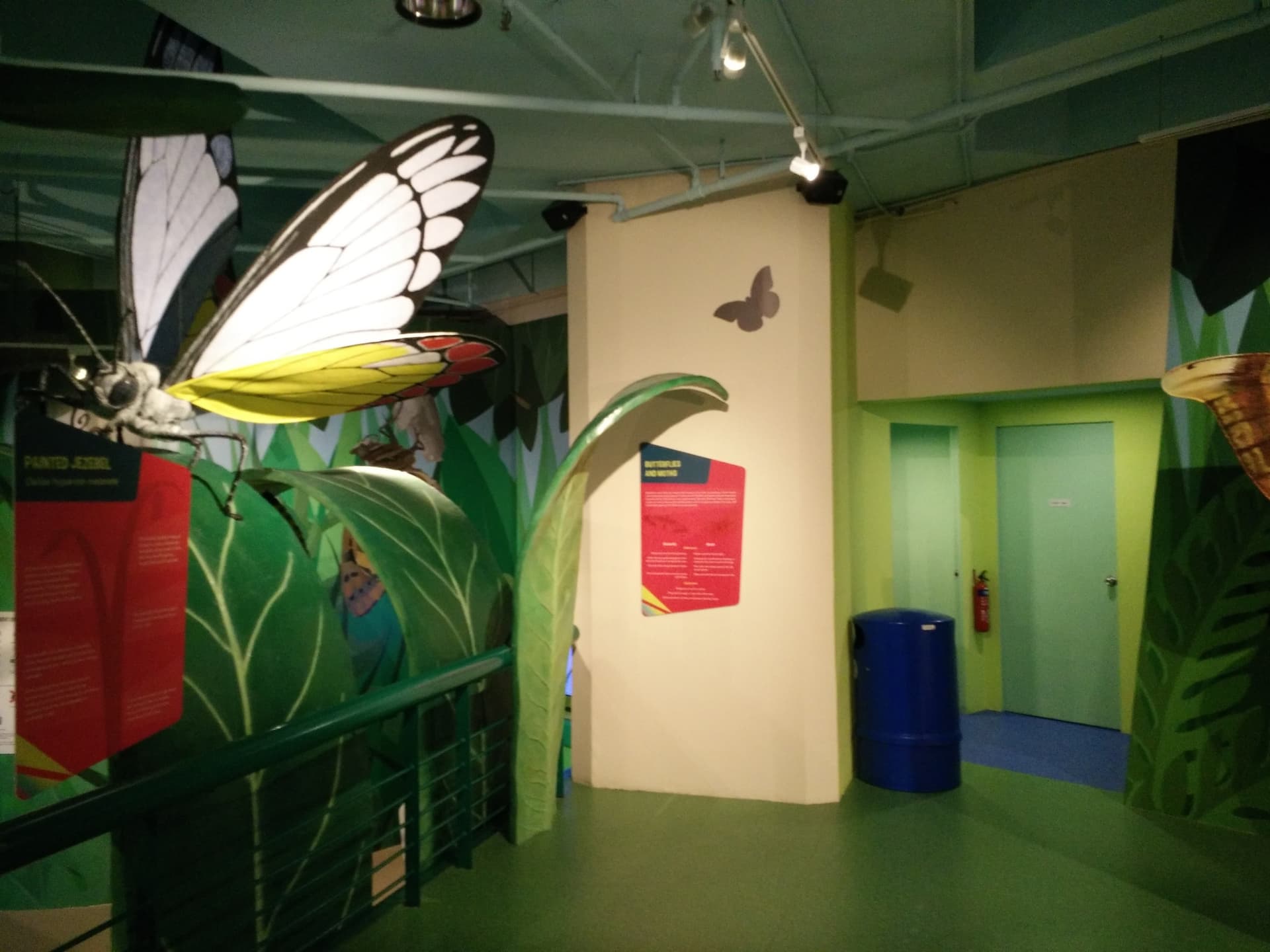 Science Centre Singapore, Omni Theatre, and KidsSTOP Singapore Ticket - تصویر 8