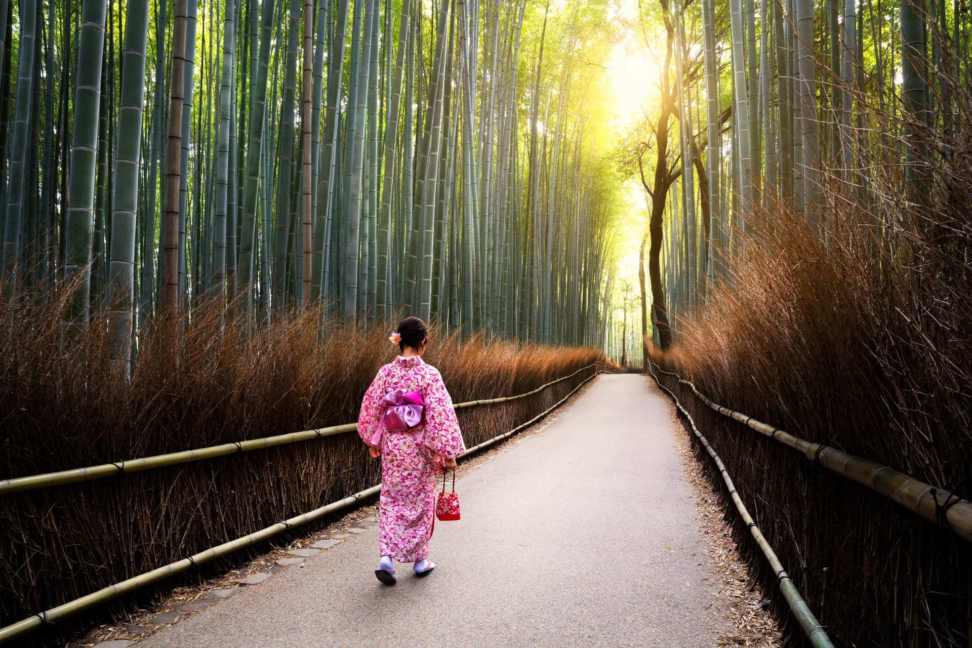 Professional Photo Shoot in Kyoto - تصویر اصلی