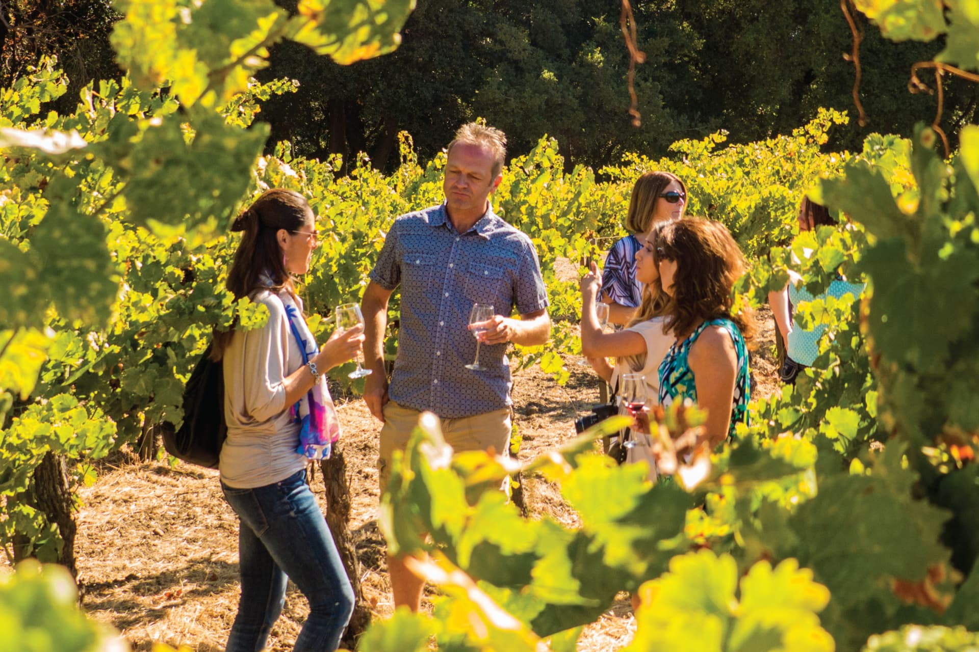 San Francisco Full-Day Wine Country Tour - تصویر 2