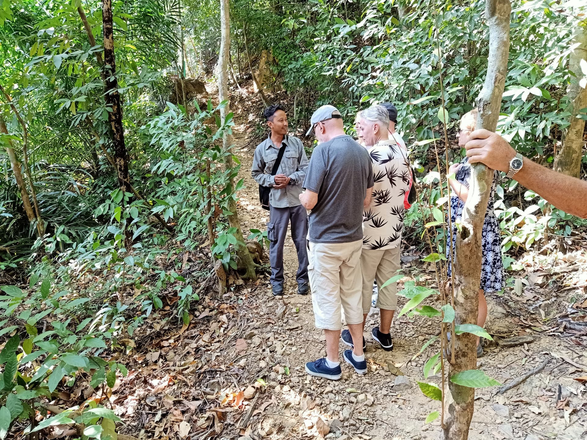 Langkawi Morning Rainforest Walking Tour - تصویر اصلی