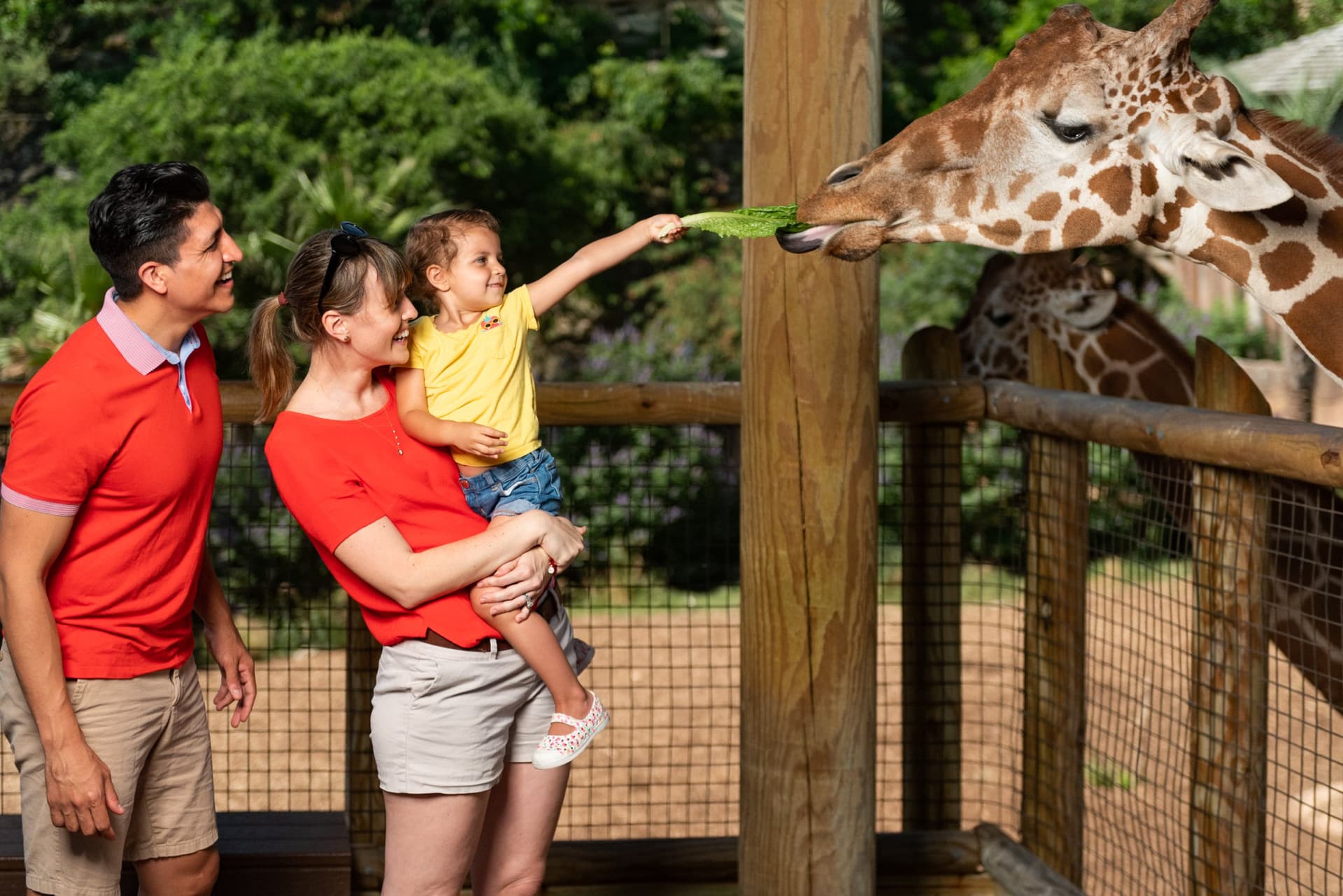 Go City San Antonio Highlights Pass: 3 Attractions - تصویر 5