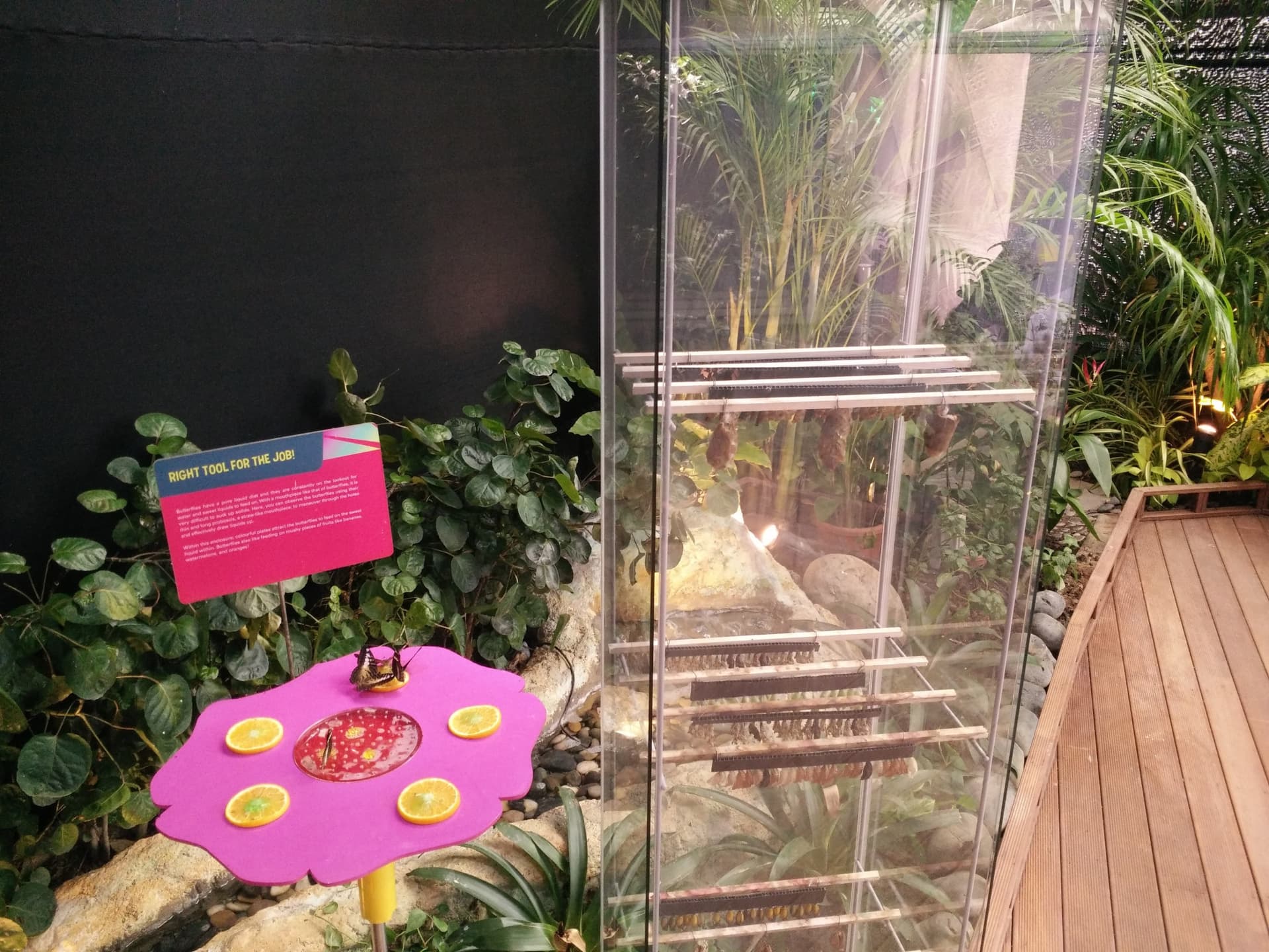 Science Centre Singapore, Omni Theatre, and KidsSTOP Singapore Ticket - تصویر 6