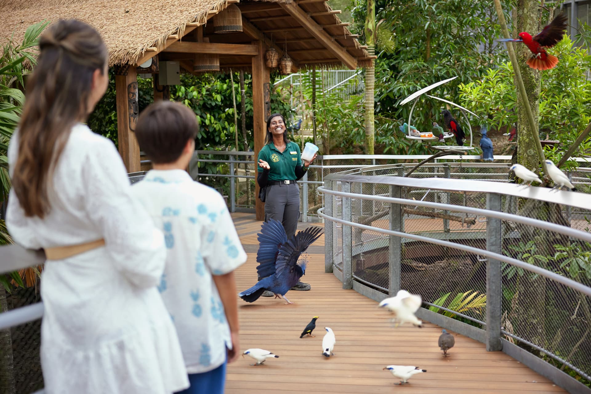 COMBO: River Wonders + Bird Paradise Ticket - تصویر 21
