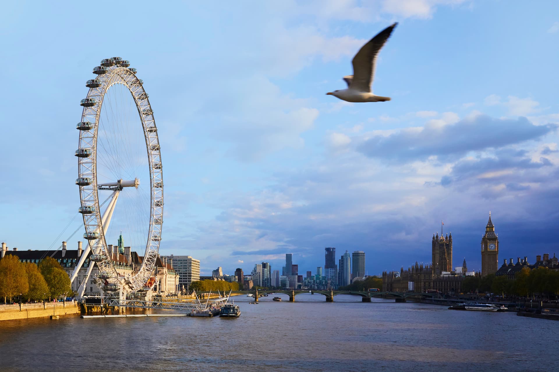 COMBO: London Eye + SEA LIFE London Aquarium Ticket - تصویر اصلی