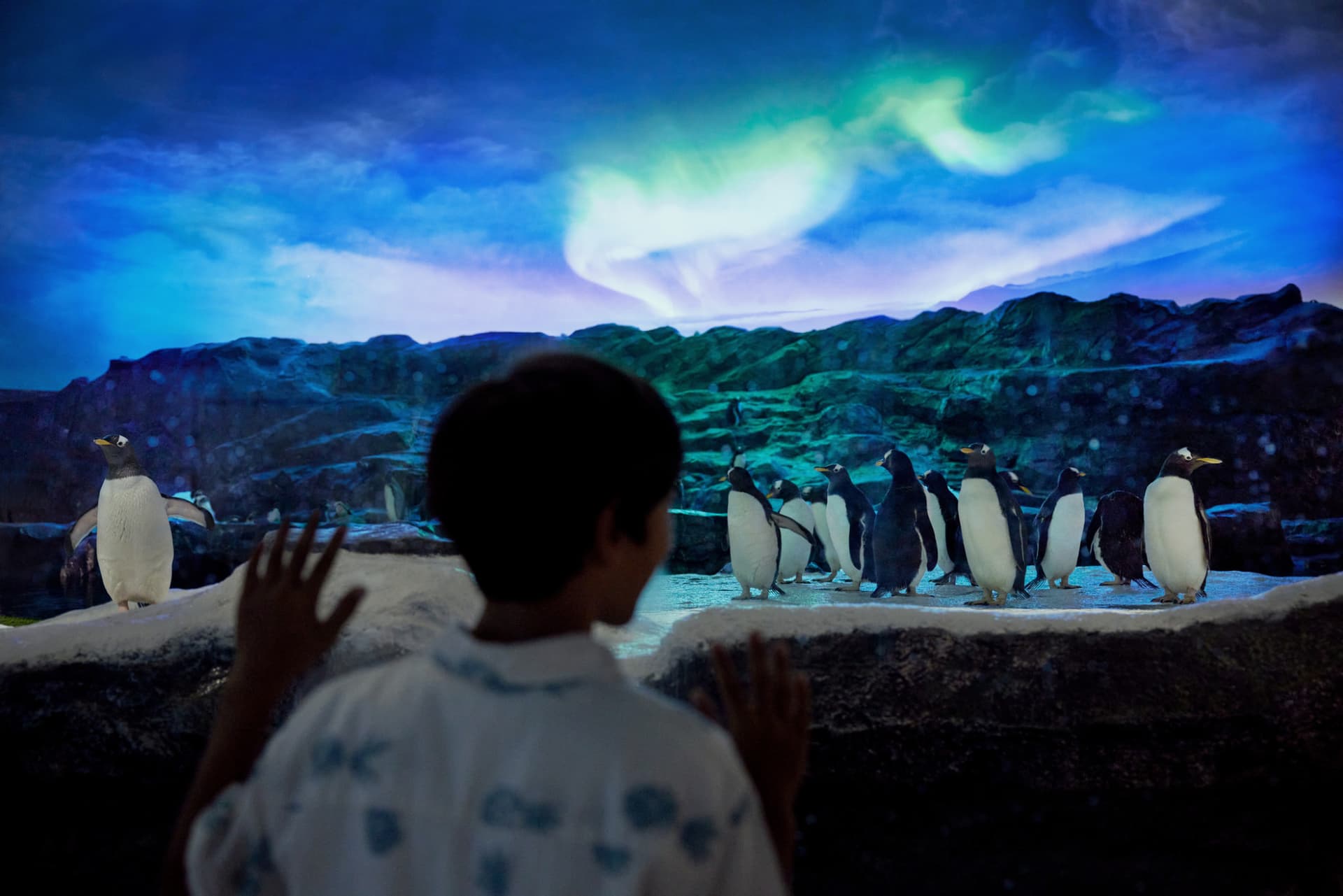 COMBO: River Wonders + Bird Paradise Ticket - تصویر 19