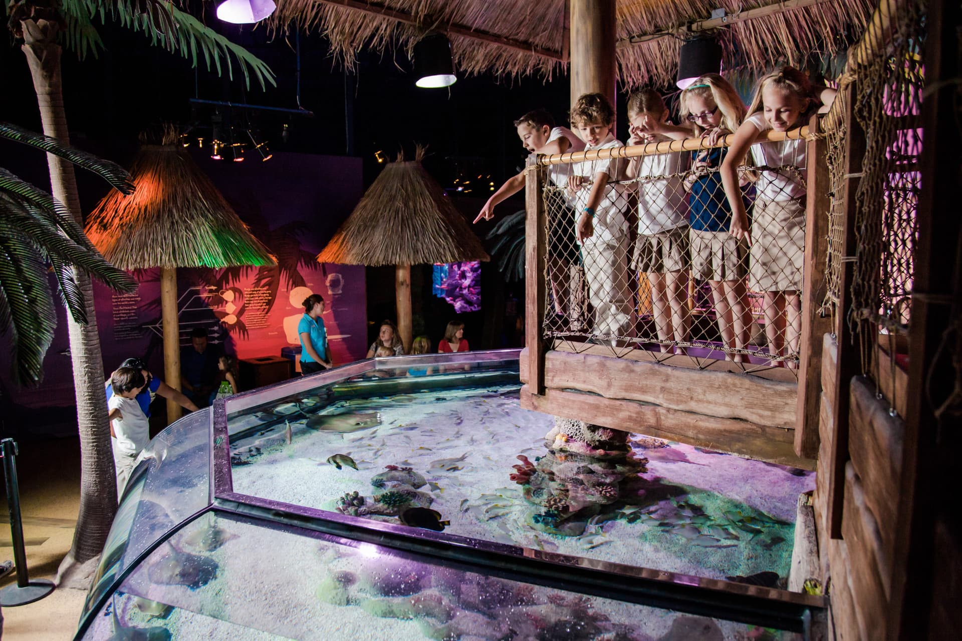 Go City San Antonio Highlights Pass: 3 Attractions - تصویر 9
