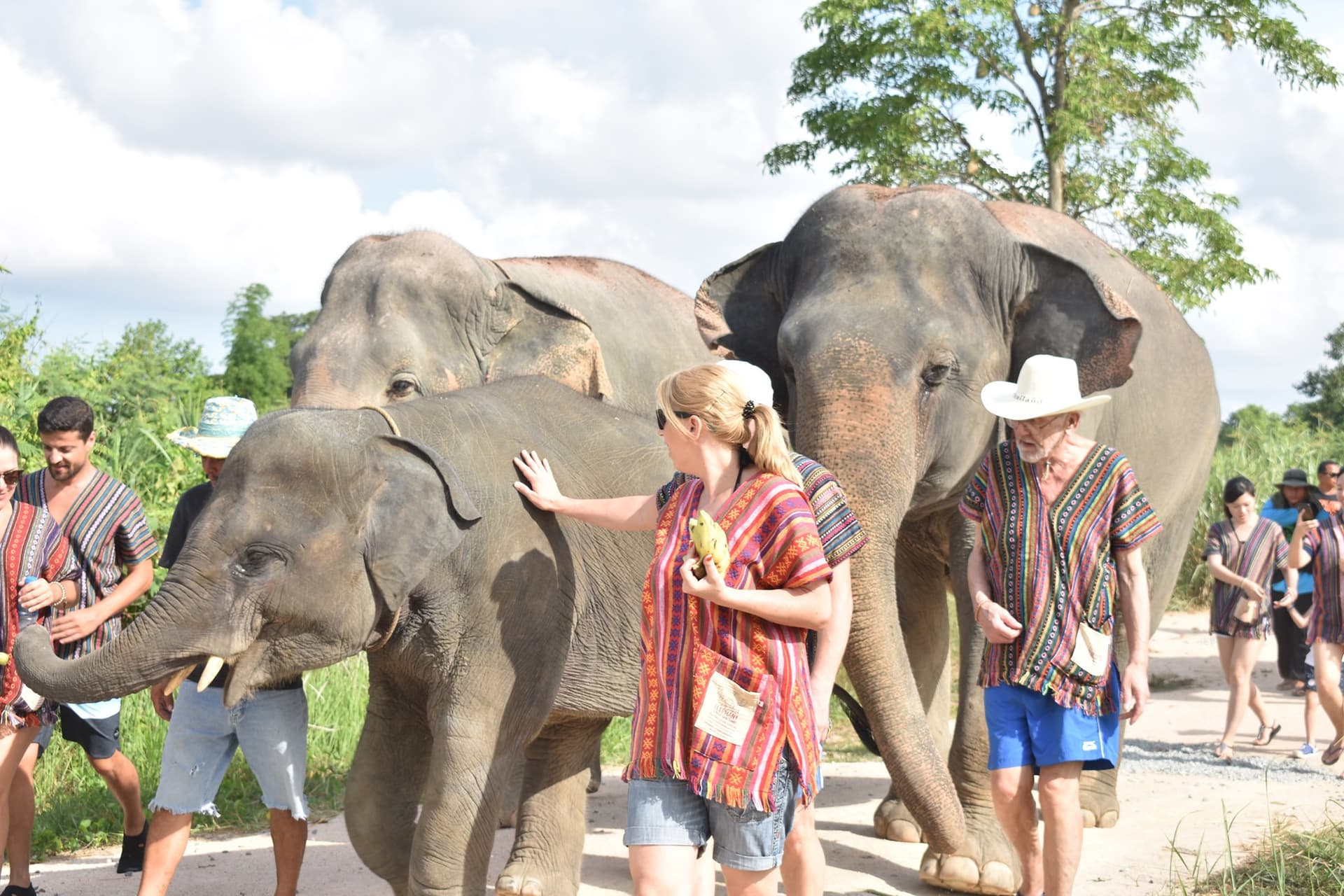 Elephant Jungle Sanctuary Pattaya - تصویر 4