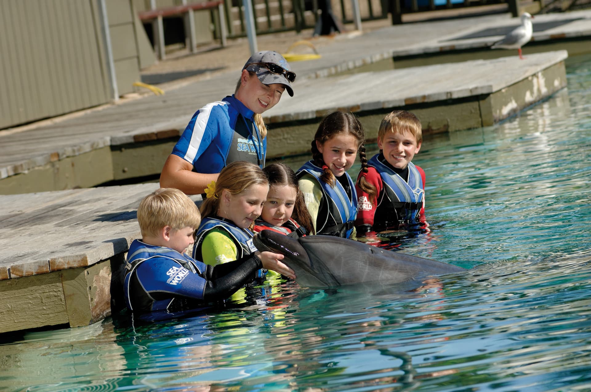 Sea World Gold Coast Ticket - تصویر 14