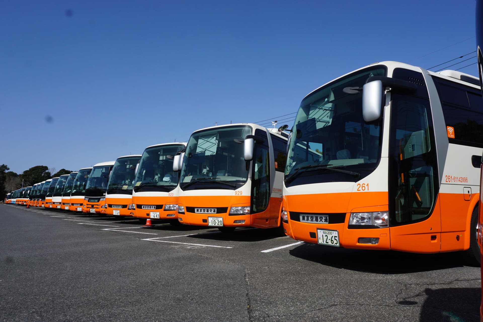 Haneda Airport Limousine Bus Transfers - تصویر 4