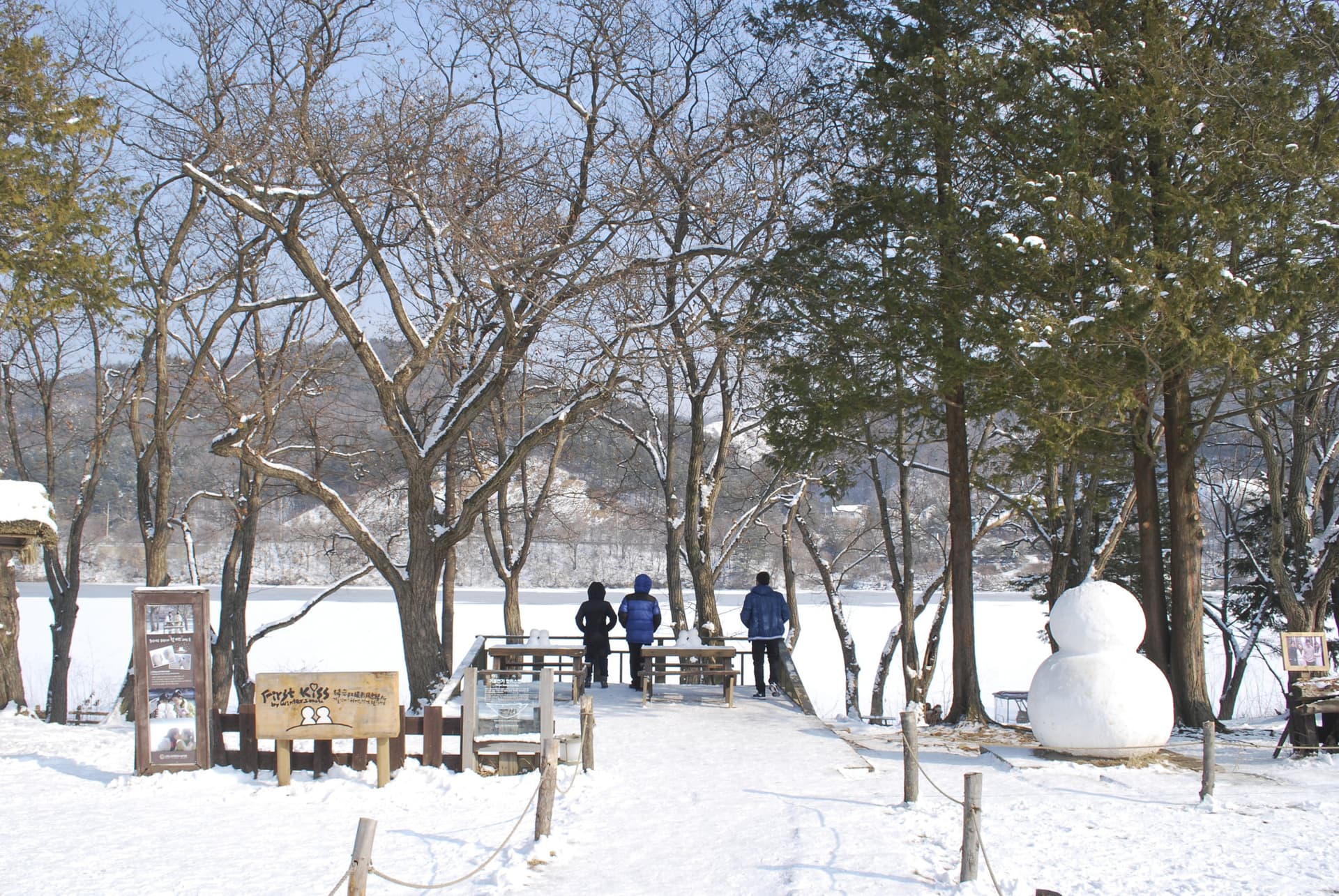 Elysian Gangchon Ski Resort and Nami Island Full-Day Tour from Seoul - تصویر 16