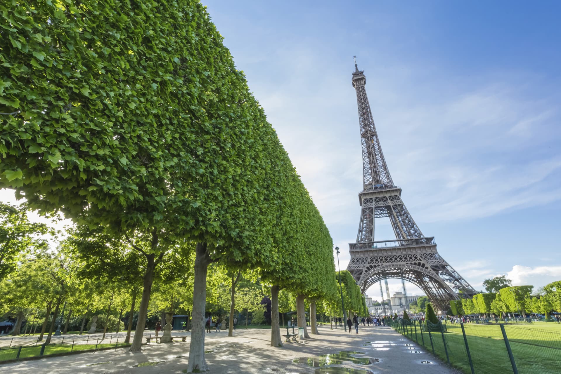 Paris Open-Top Bus Tour and Eiffel Tower Reserved Access - تصویر اصلی