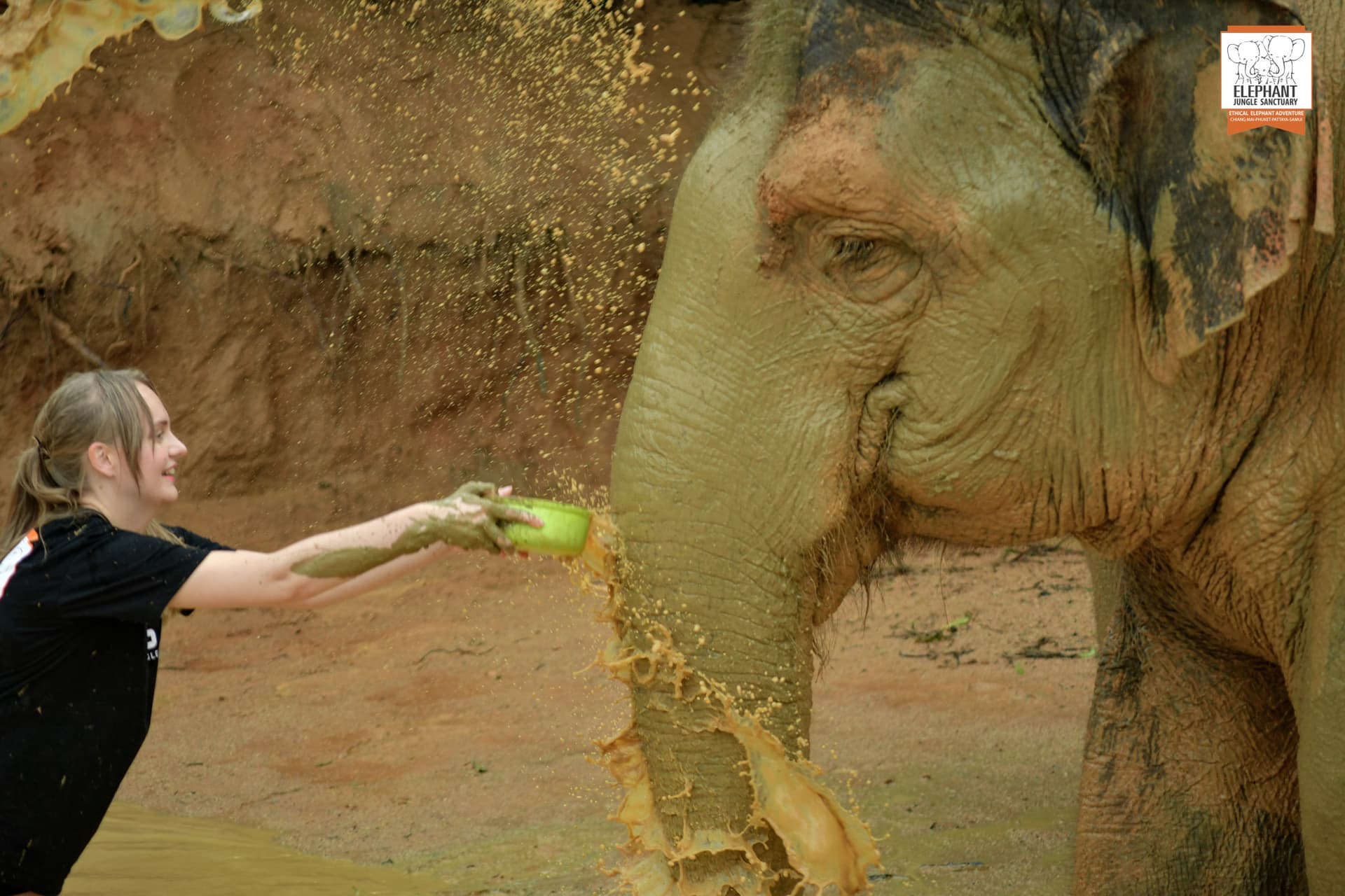 Elephant Jungle Sanctuary Phuket - تصویر 17