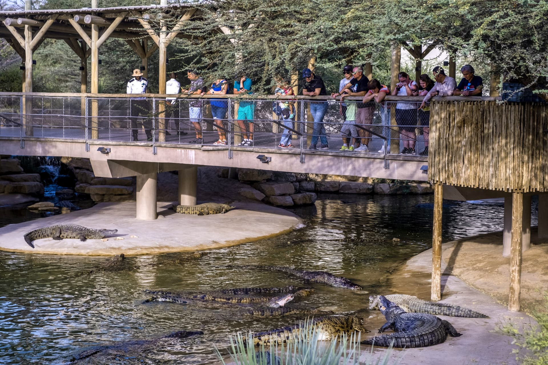 COMBO: Dubai Dolphinarium + Dubai Crocodile Park Tickets - تصویر 6