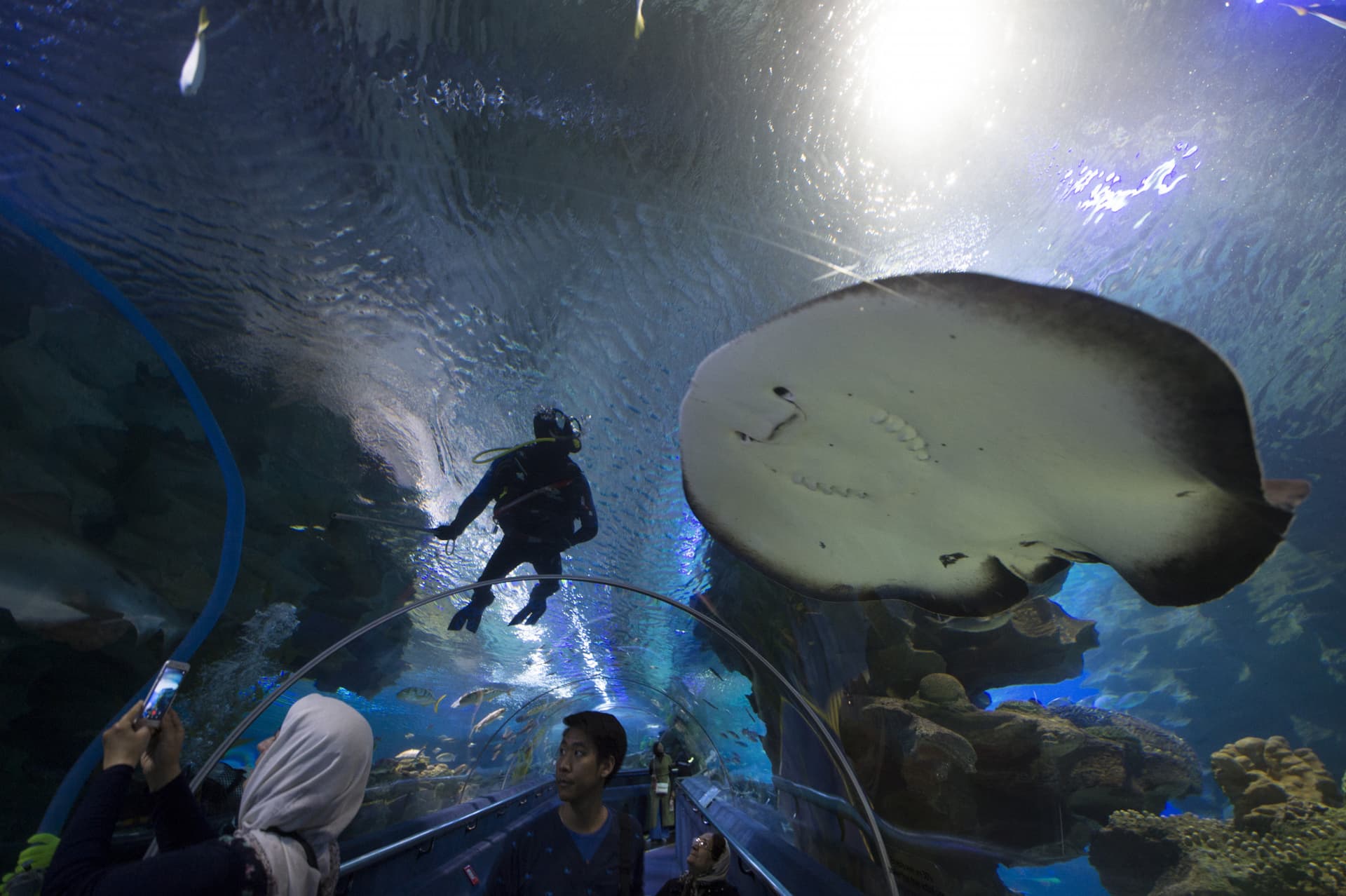 COMBO: KL Hop-on Hop-off Sightseeing Bus Tour + Aquaria KLCC Ticket - تصویر 3