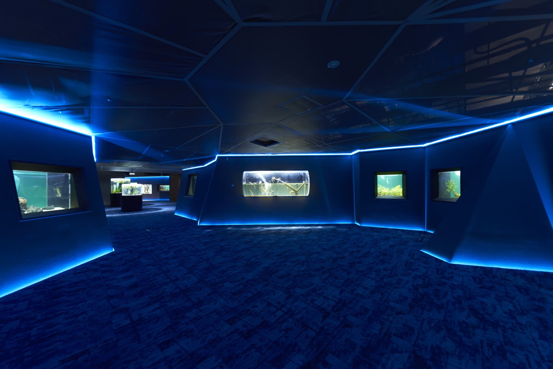 Kawasaki Aquarium Ticket - تصویر 12