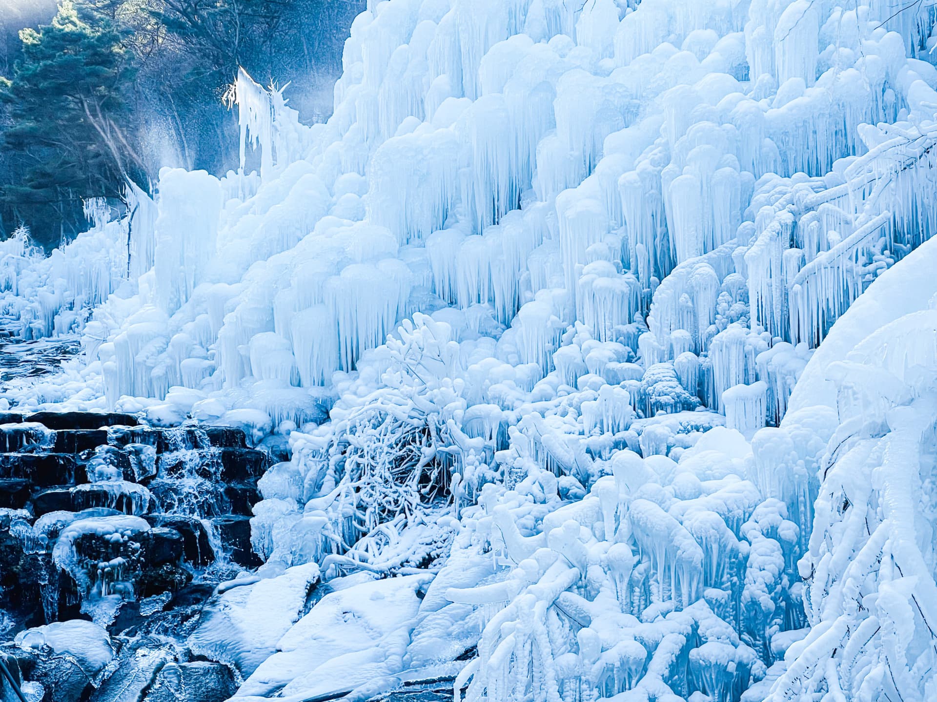 Gyeongju Kookmin Healing Park, Daegu Seomun Market, Songhae Park Ice Wall Full-Day Tour from Busan - تصویر 10