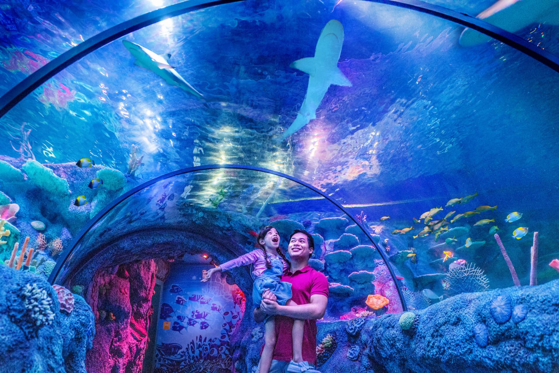 LEGOLAND Malaysia Resort Ticket - تصویر 13
