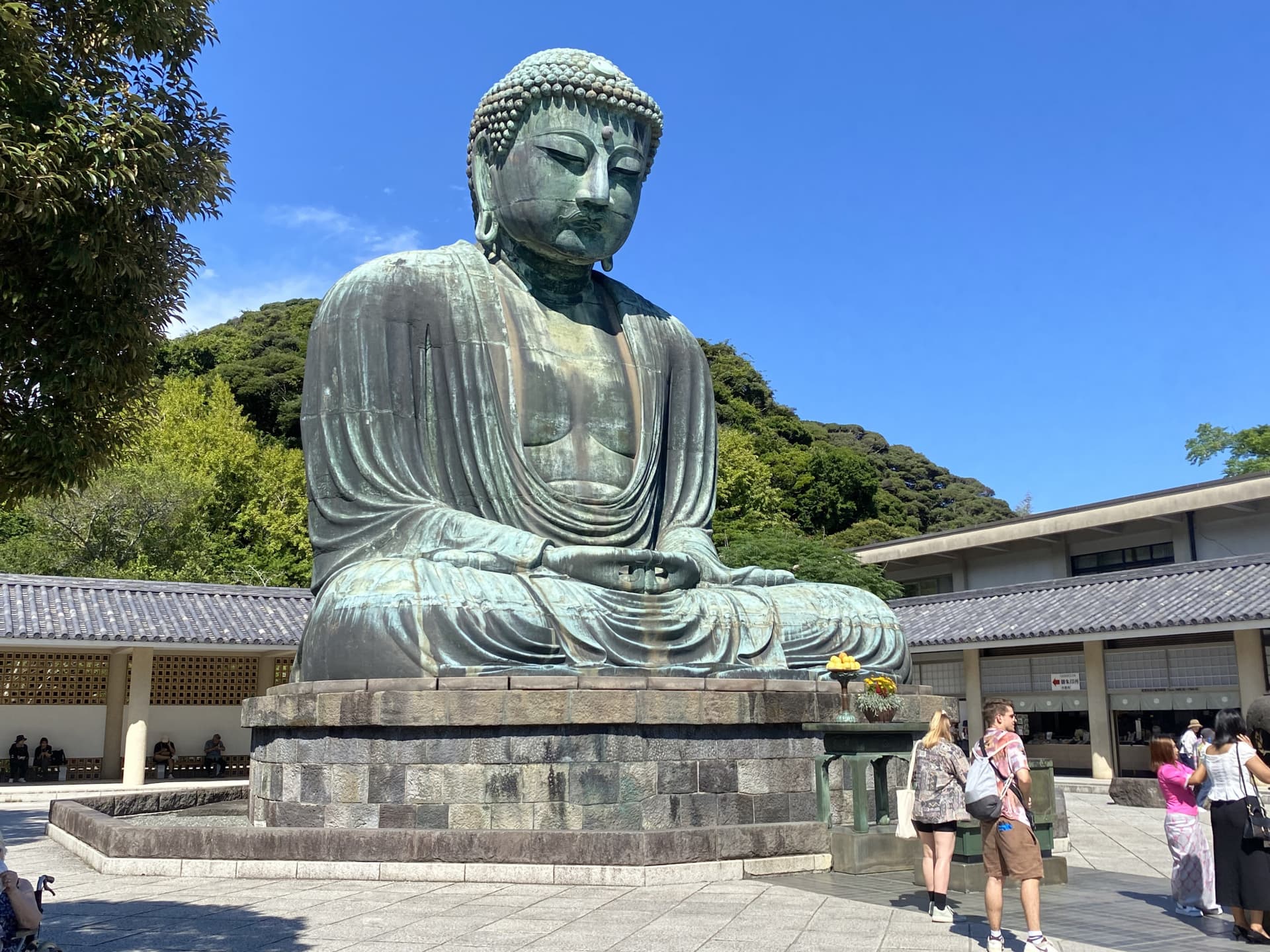 Mount Fuji, Kamakura, Lake Ashi, and Big Buddha Full-Day Tour from Tokyo - تصویر 4
