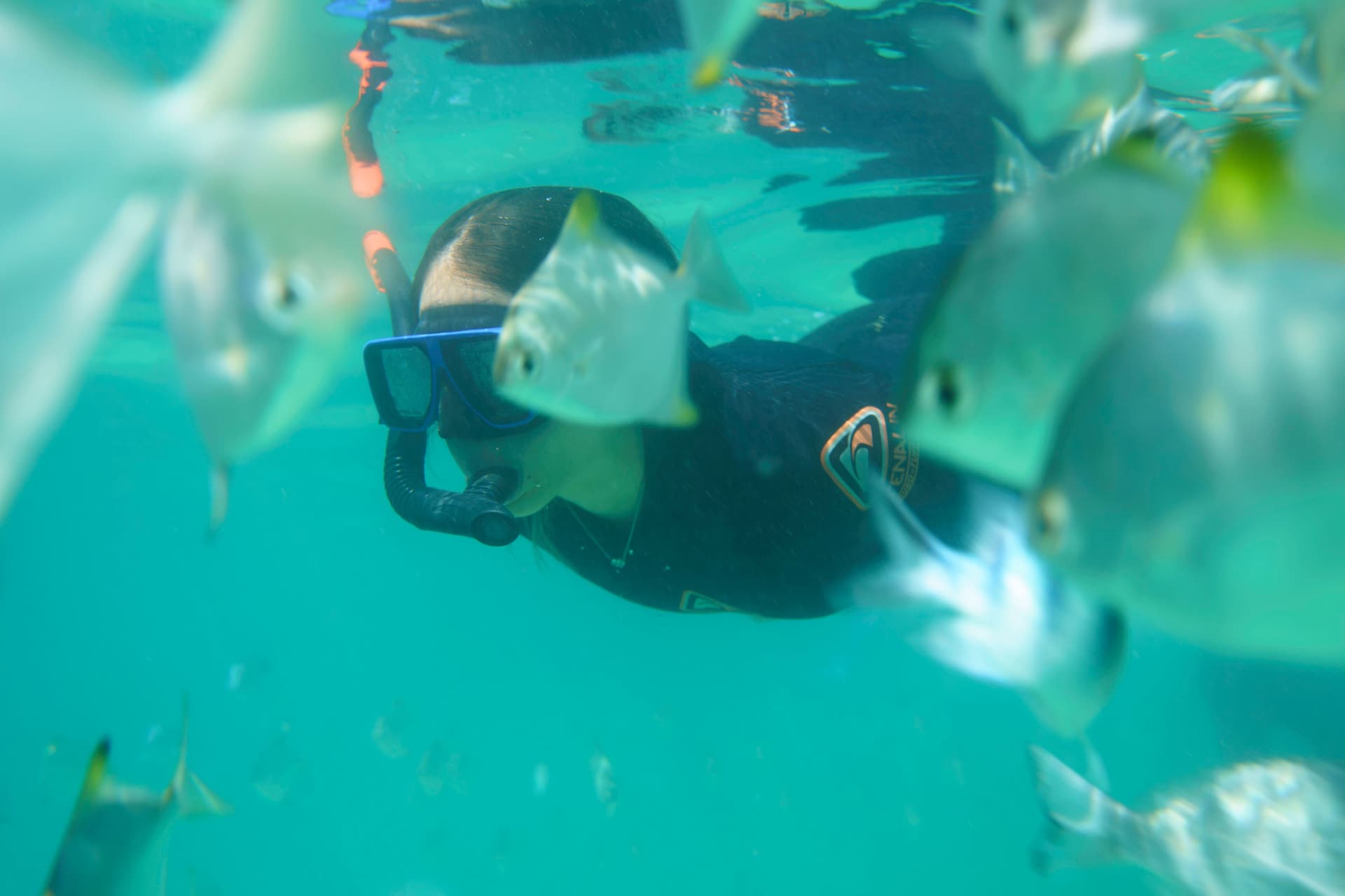 Moreton Island 1-Day Adventure Tour with Kayaking and Sandboarding - تصویر 17