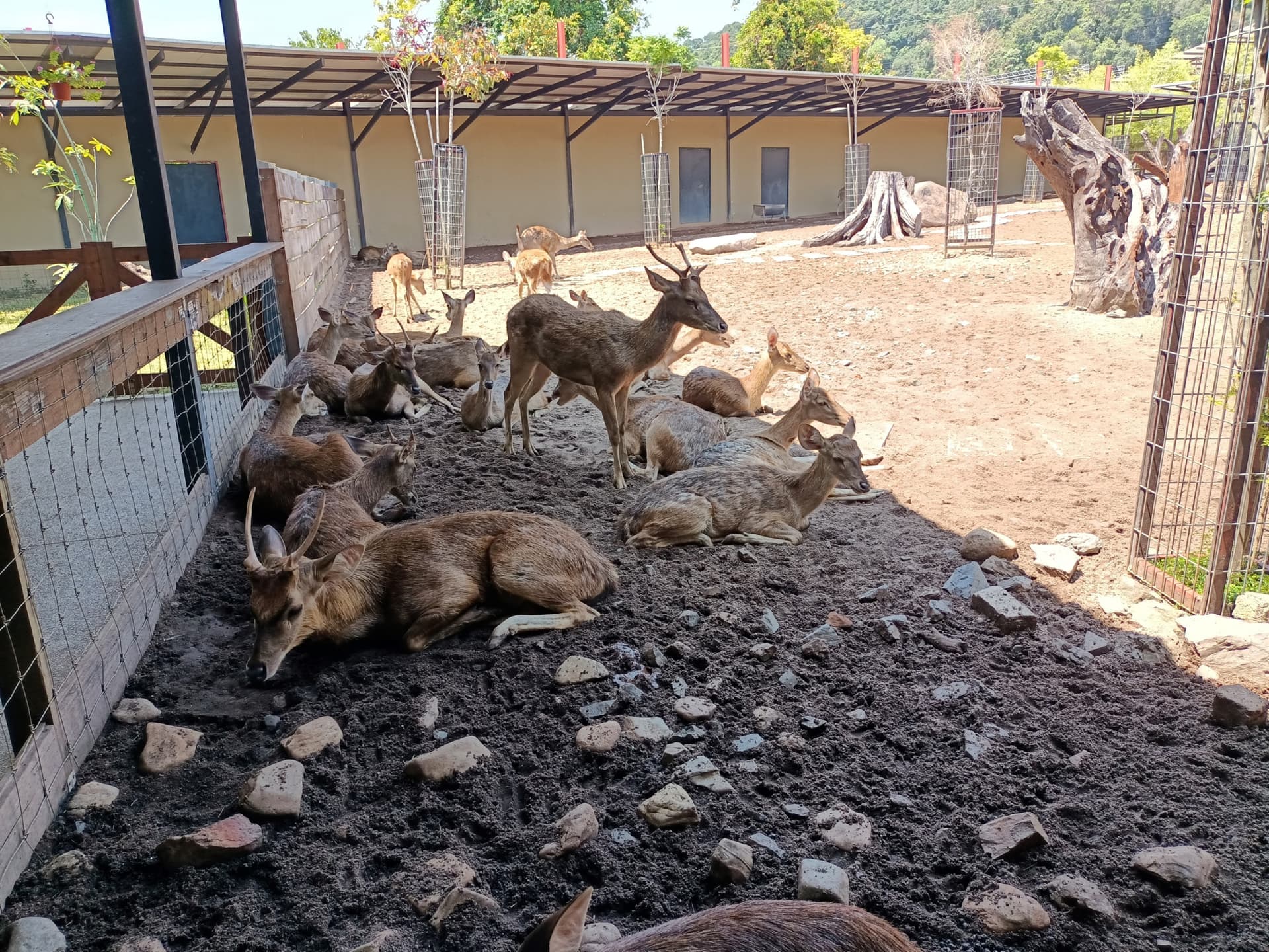 Langkawi Wildlife Park - تصویر اصلی