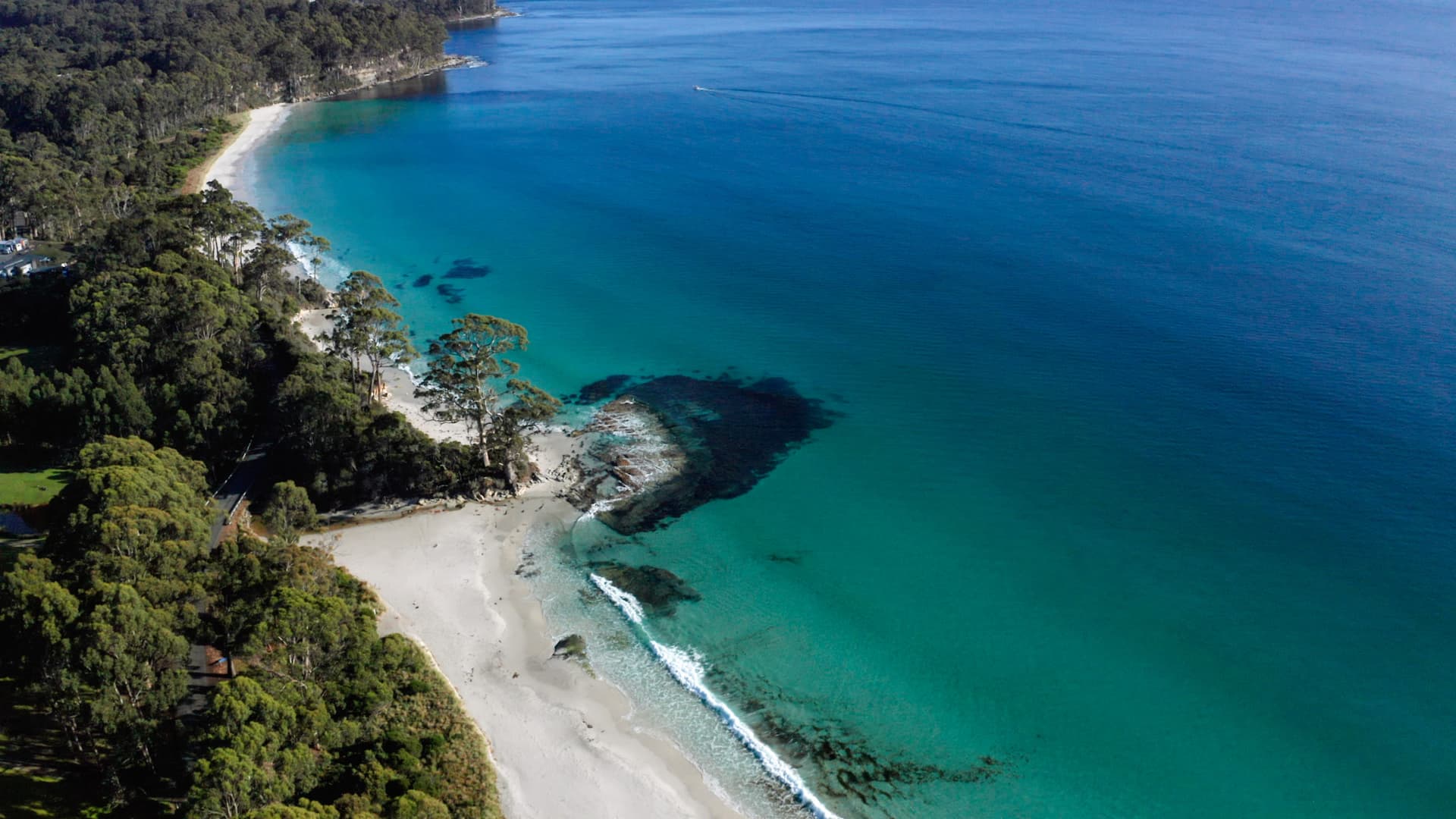 From Hobart | Bruny Island Food, Sightseeing and Lighthouse Tour - تصویر 2