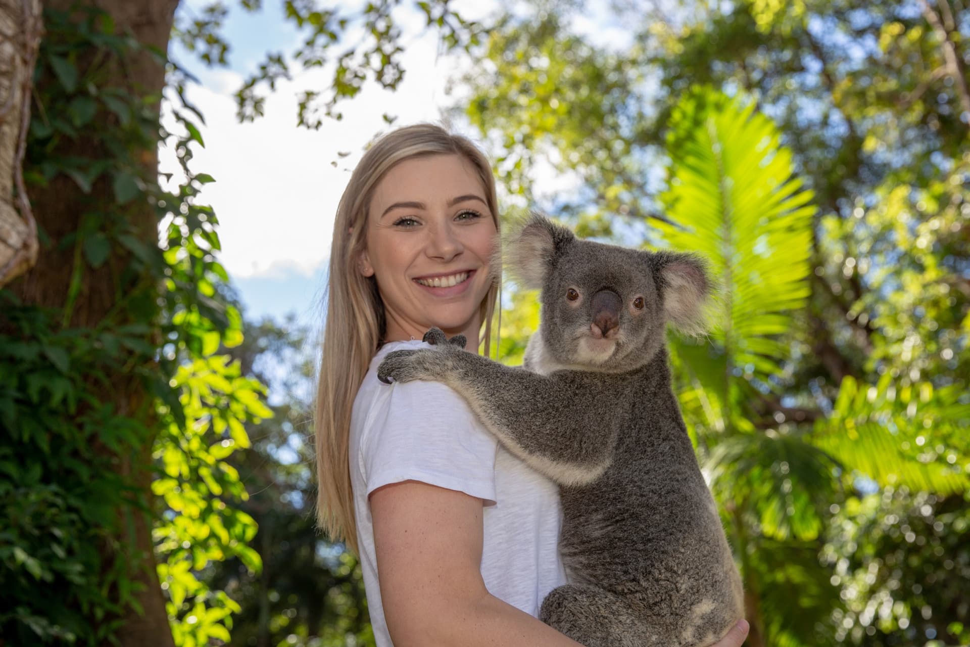 Currumbin Wildlife Sanctuary Gold Coast Ticket - تصویر 2