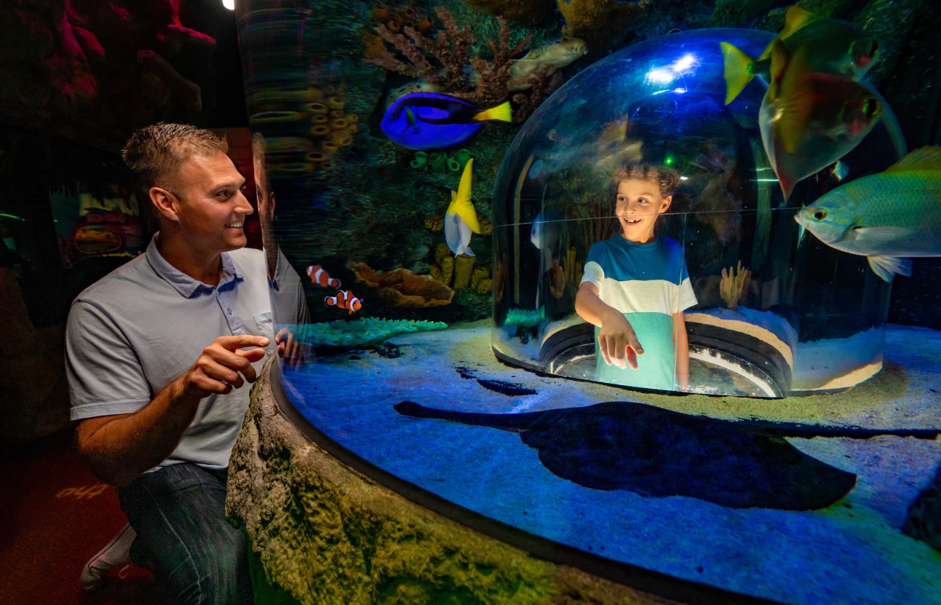 SEA LIFE Orlando Aquarium Ticket - تصویر 5