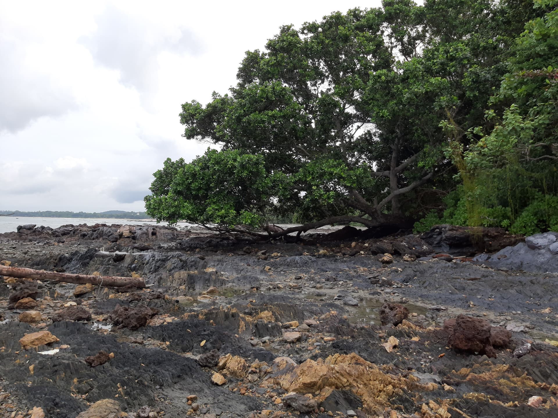 Desaru Beach and Tide Pool Walk - تصویر 17
