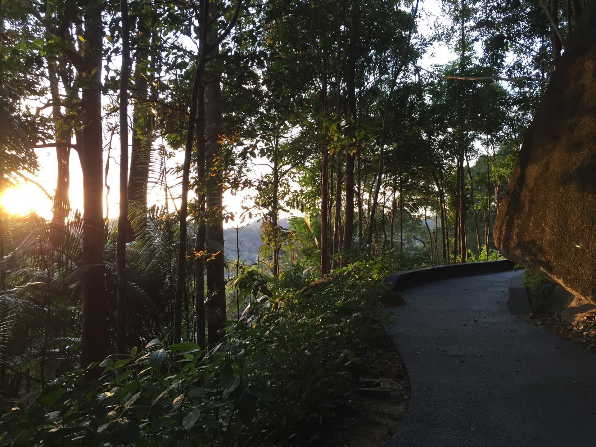 The Habitat Penang Hill Ticket - تصویر 14
