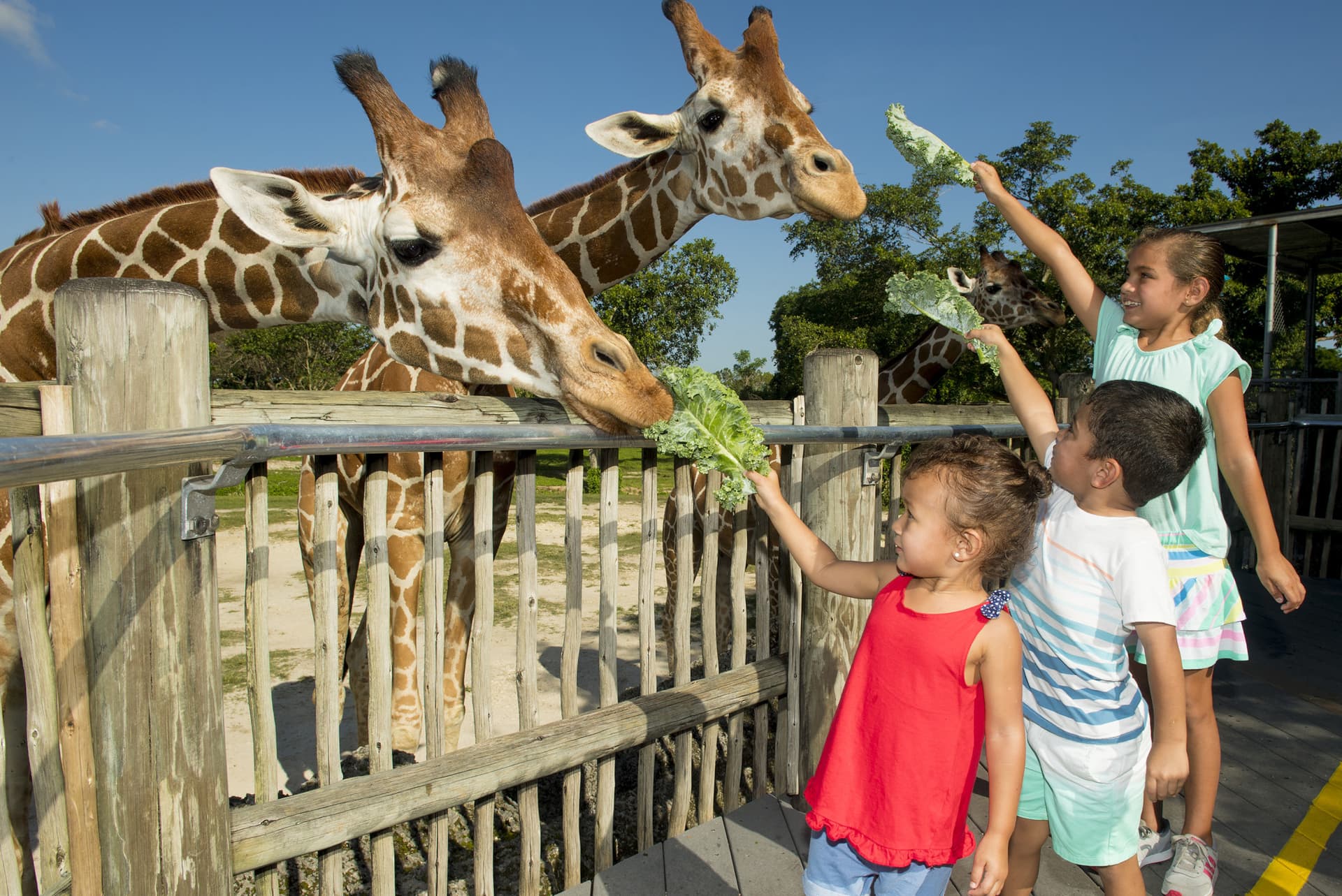 Go City Miami Explorer Pass: Save up to 50% on Attractions - تصویر 27