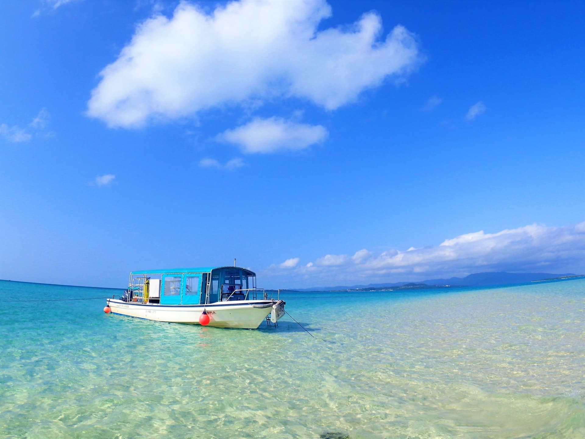 Half-Day Morning Snorkeling Tour with Phantom Island Visit - تصویر 2