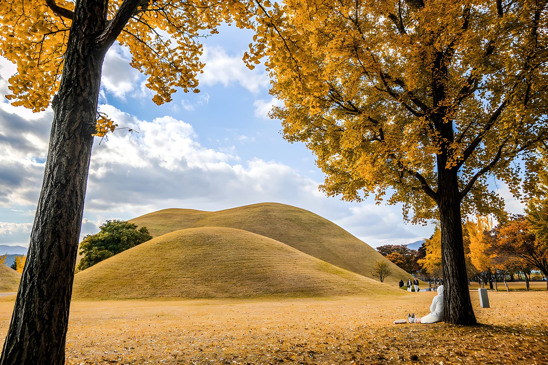 Gyeongju Autumn Foliage One Day Tour from Busan - تصویر 5