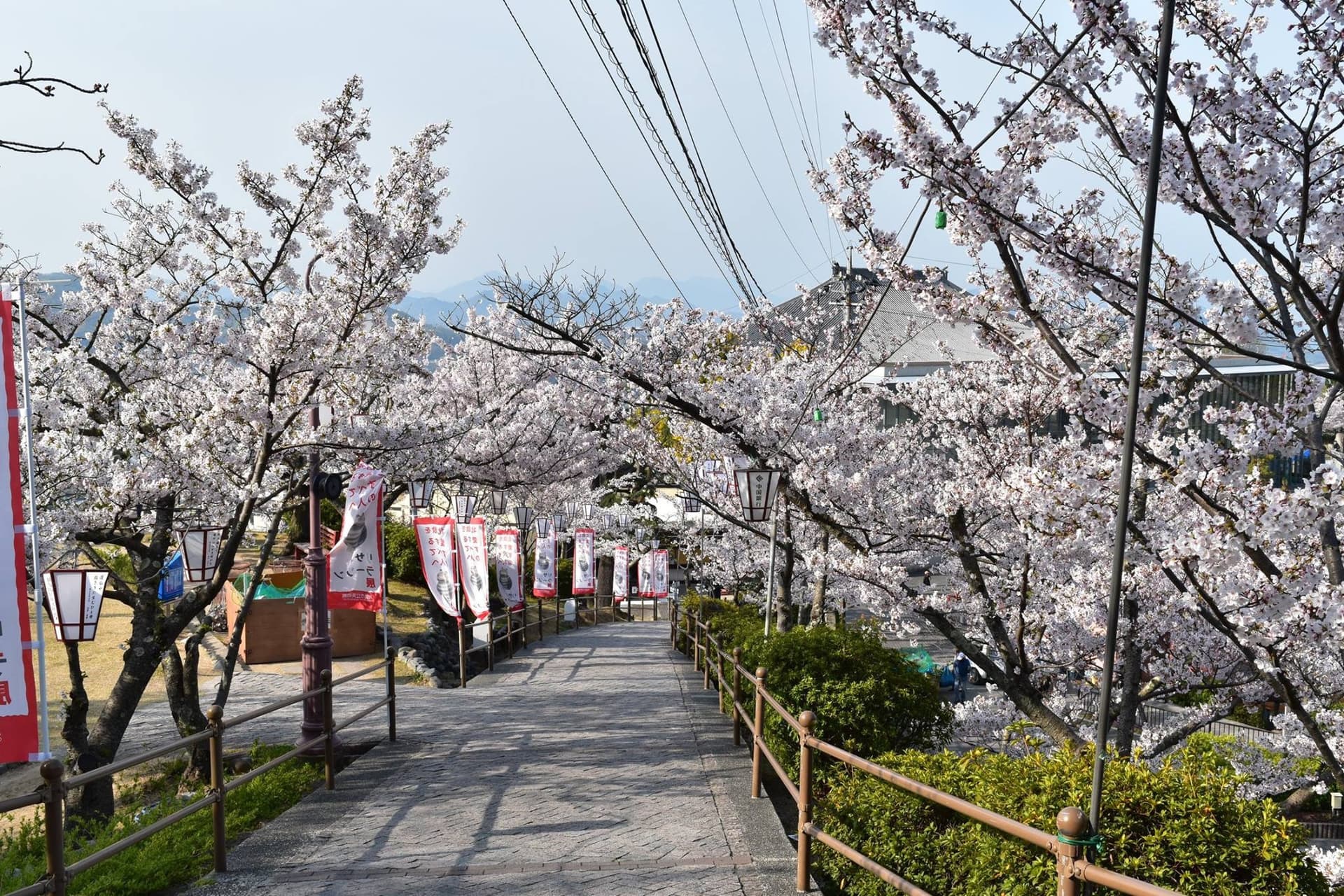 Mt. Senkoji Ropeway - تصویر 7