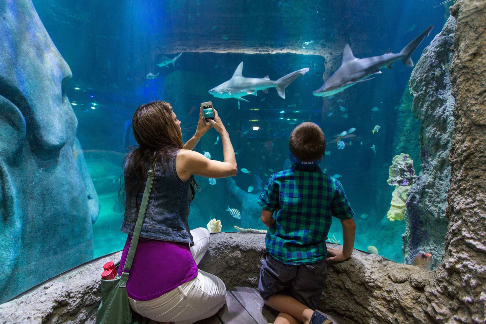 Go City Orlando Explorer Pass: Save up to 50% on Attractions - تصویر 6