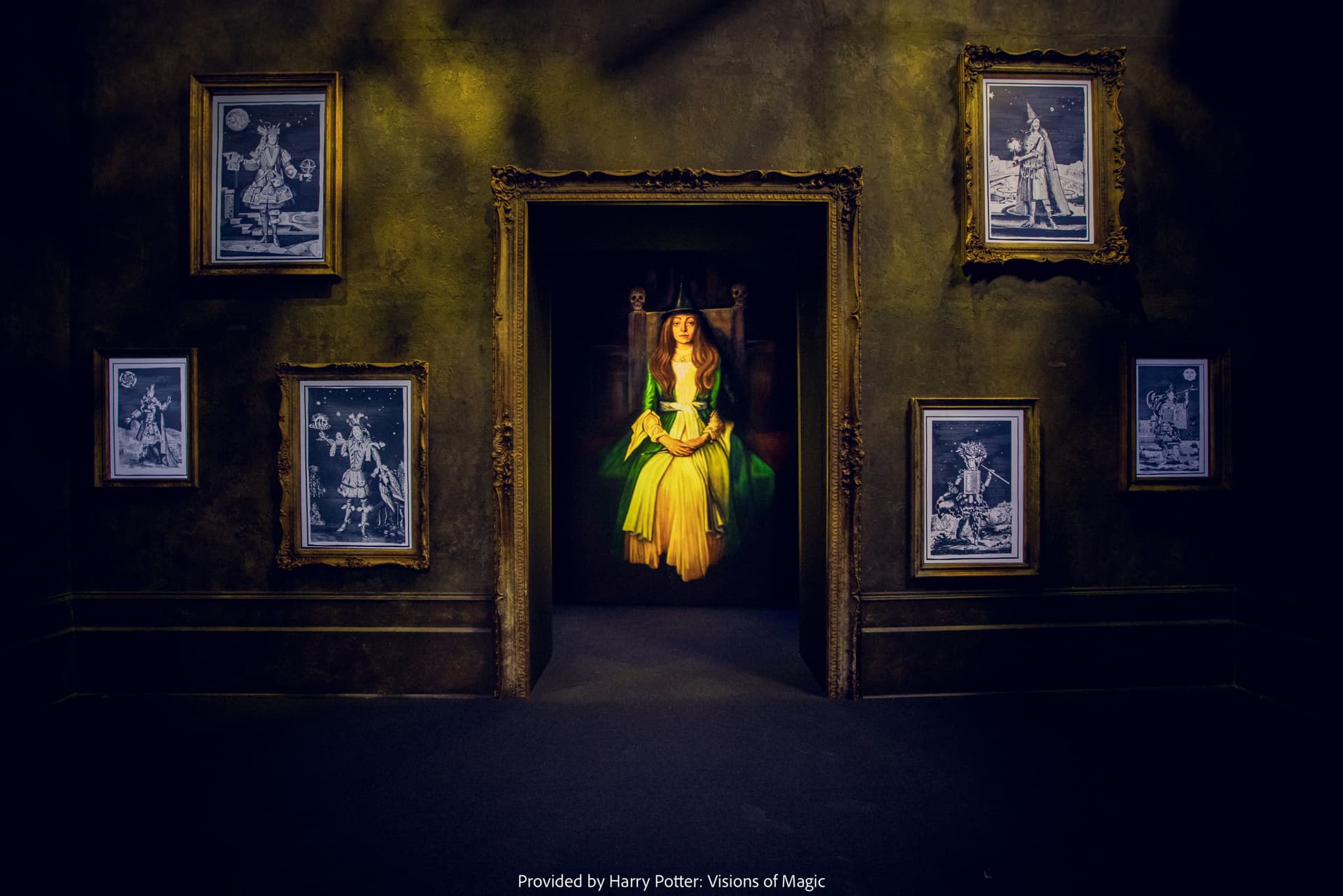 Harry Potter: Visions of Magic - تصویر 15