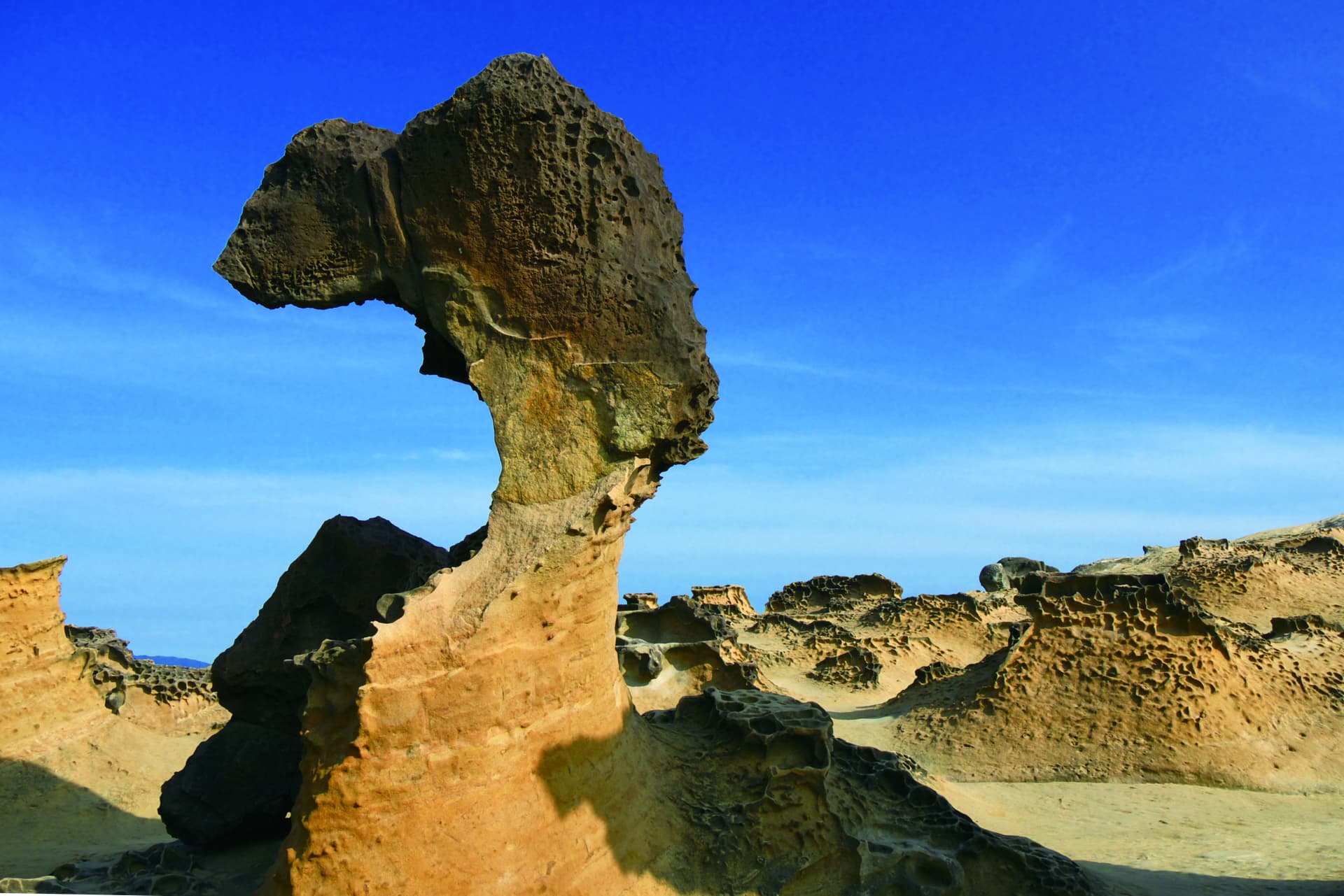 Yehliu Geopark Ticket - تصویر 5