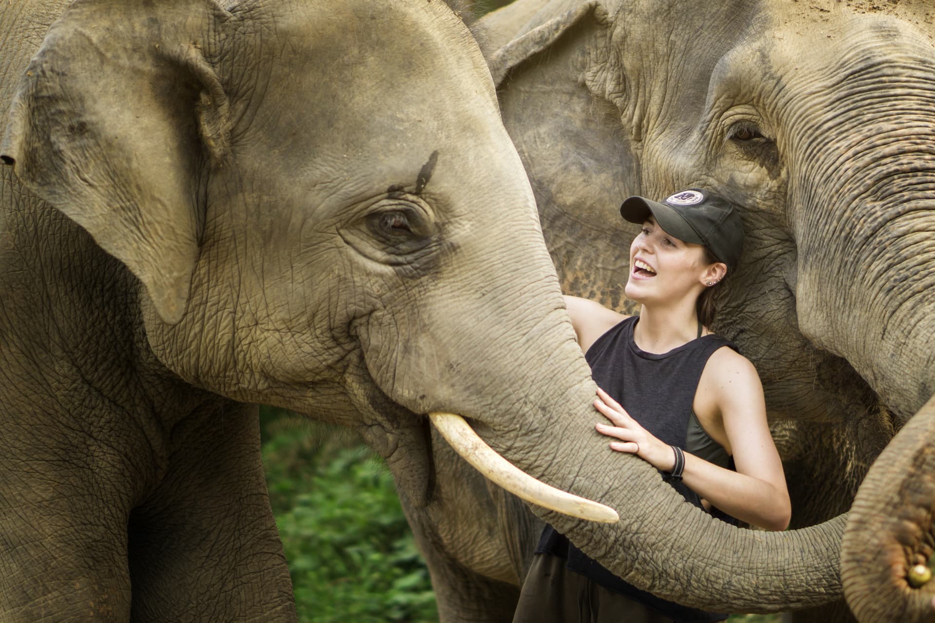 Elephant Jungle Sanctuary Pattaya - تصویر 3