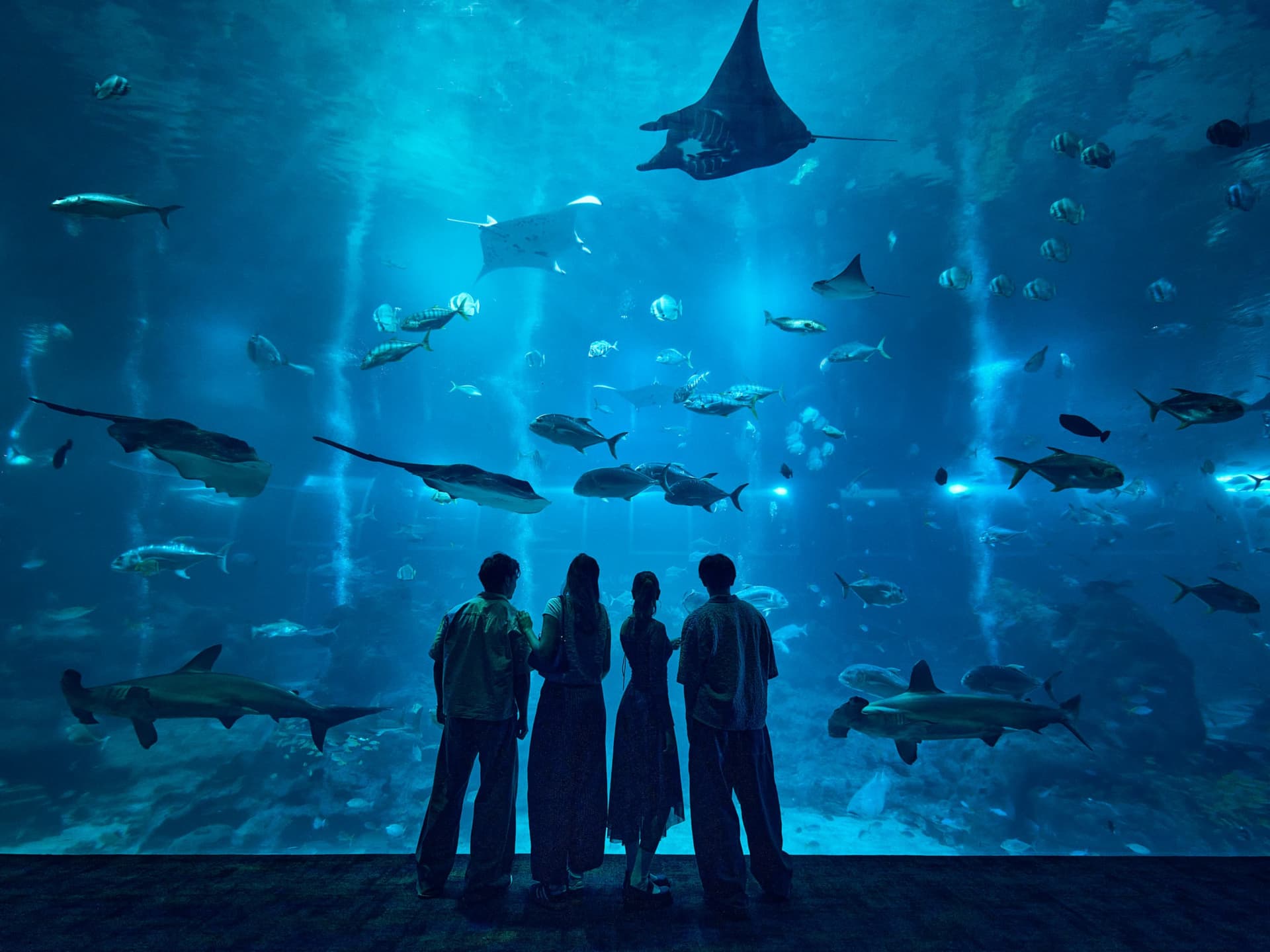 Singapore Oceanarium Ticket - تصویر 5
